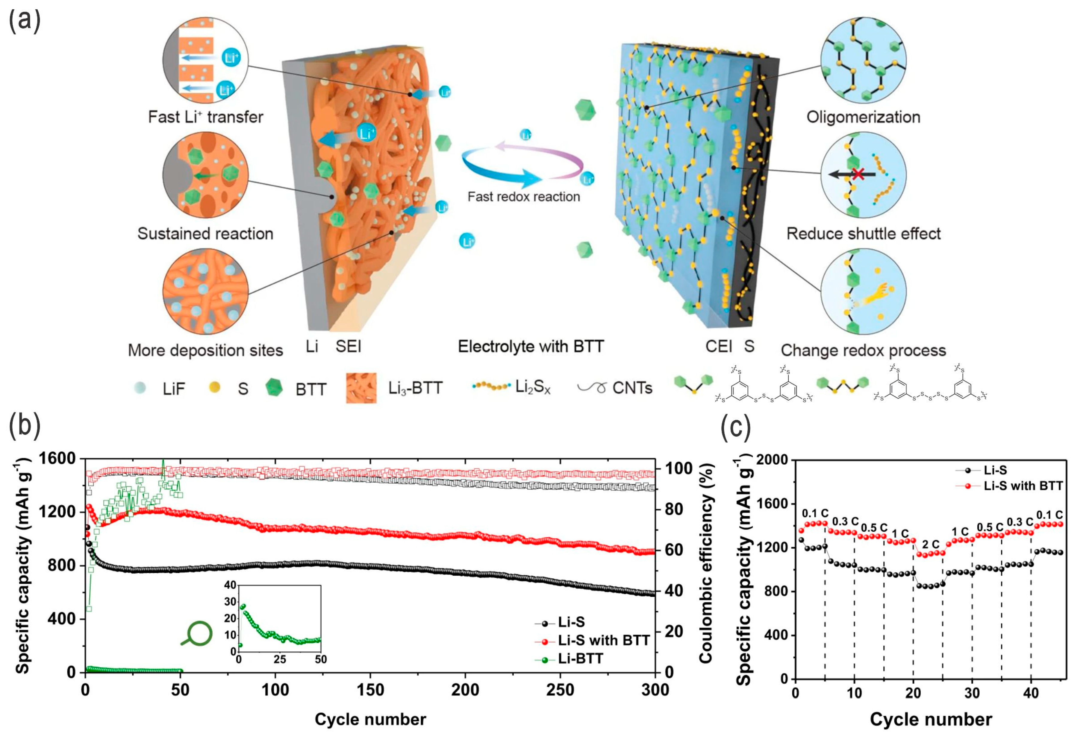 Nanomaterials 14 00990 g009