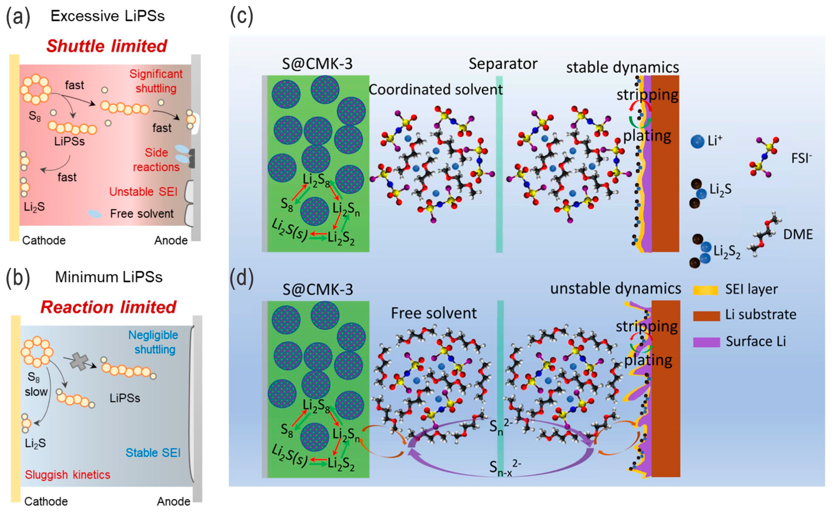 Nanomaterials 14 00990 g010
