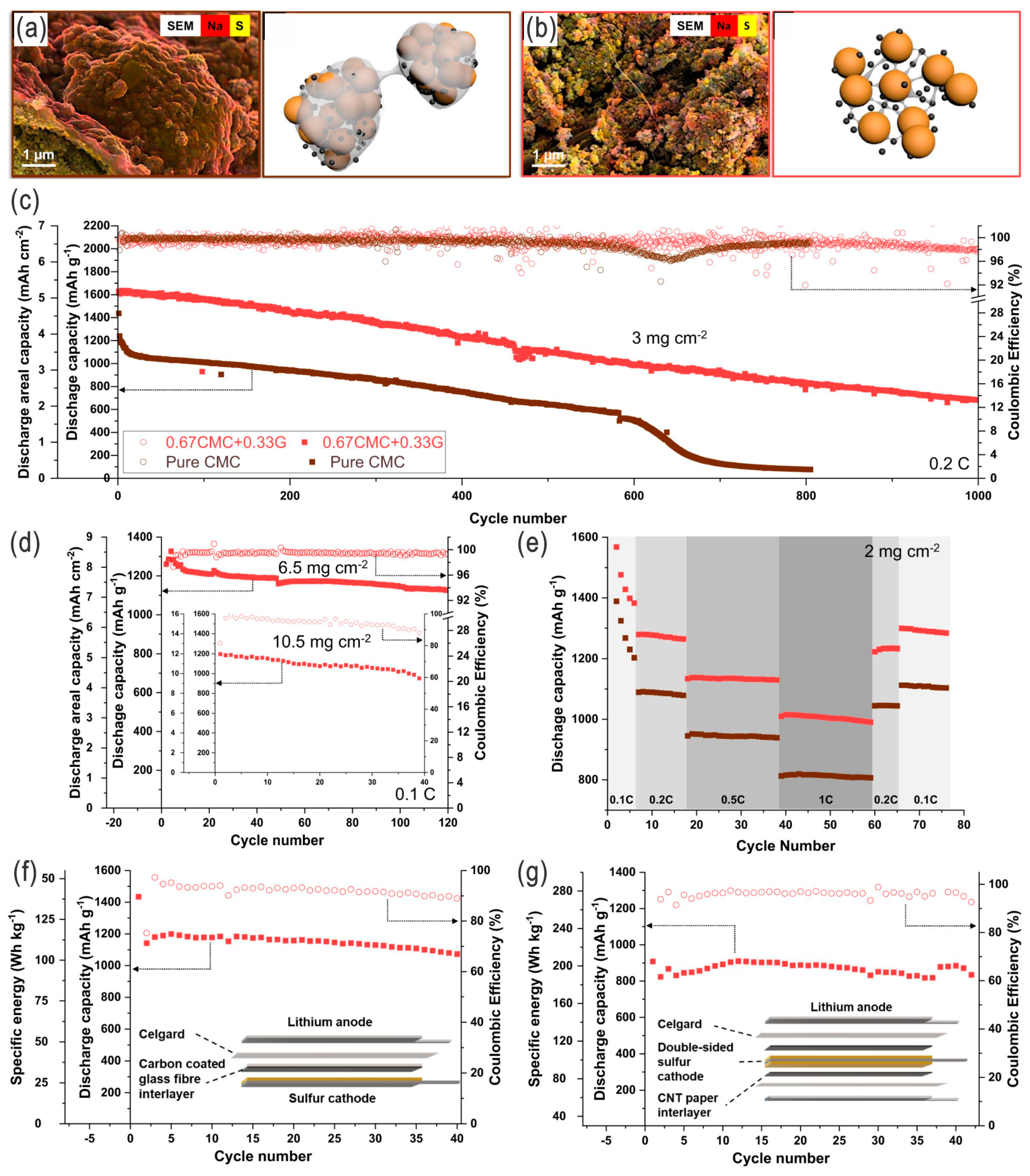 Nanomaterials 14 00990 g011