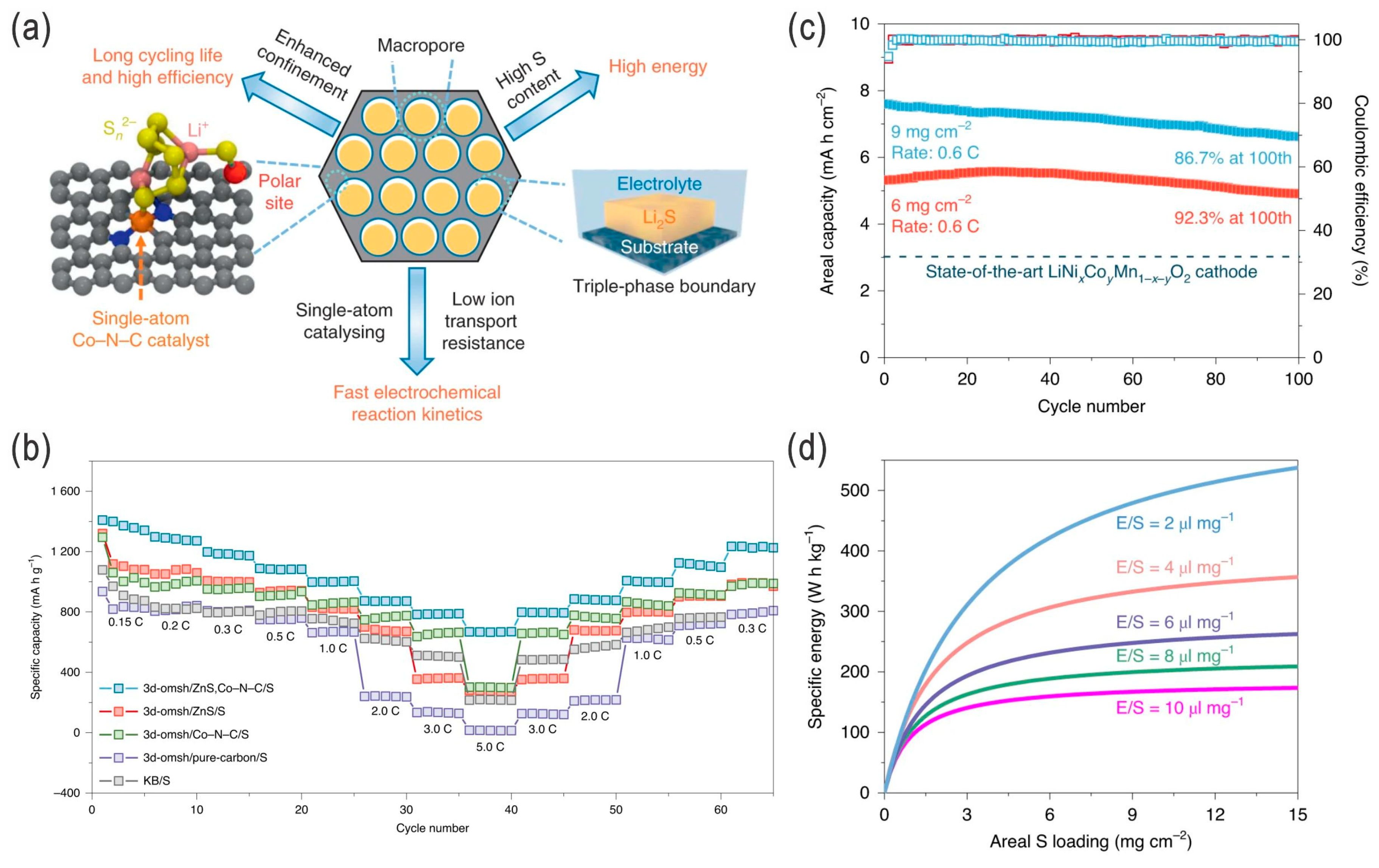 Nanomaterials 14 00990 g013