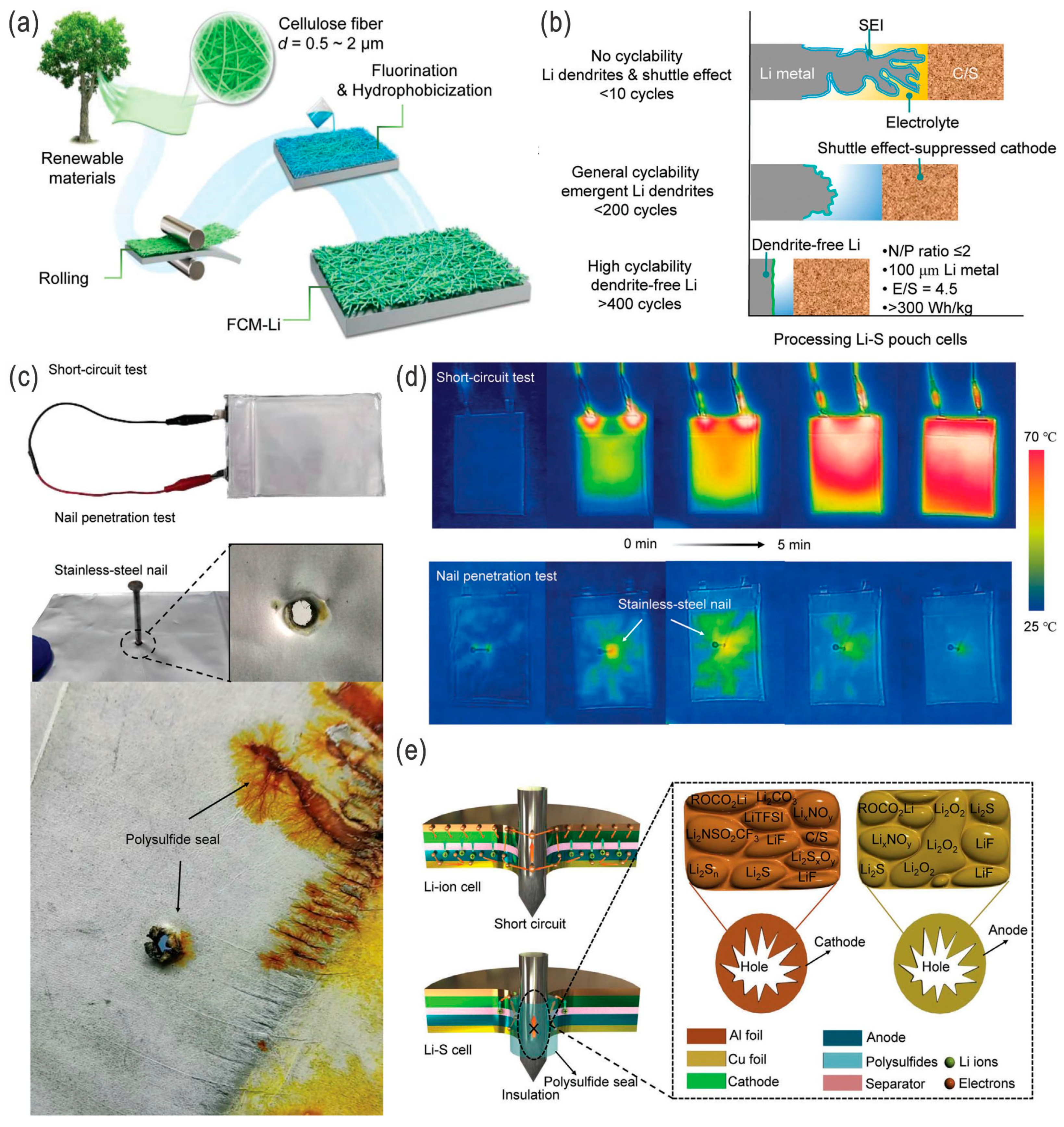 Nanomaterials 14 00990 g015