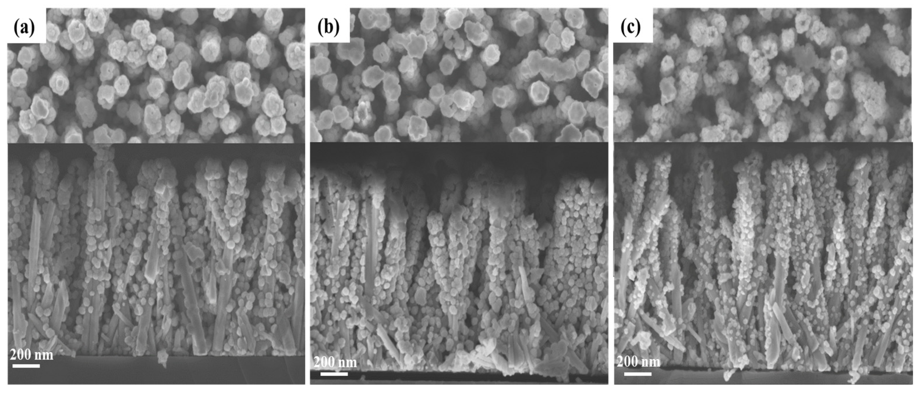 Nanomaterials 14 00991 g002