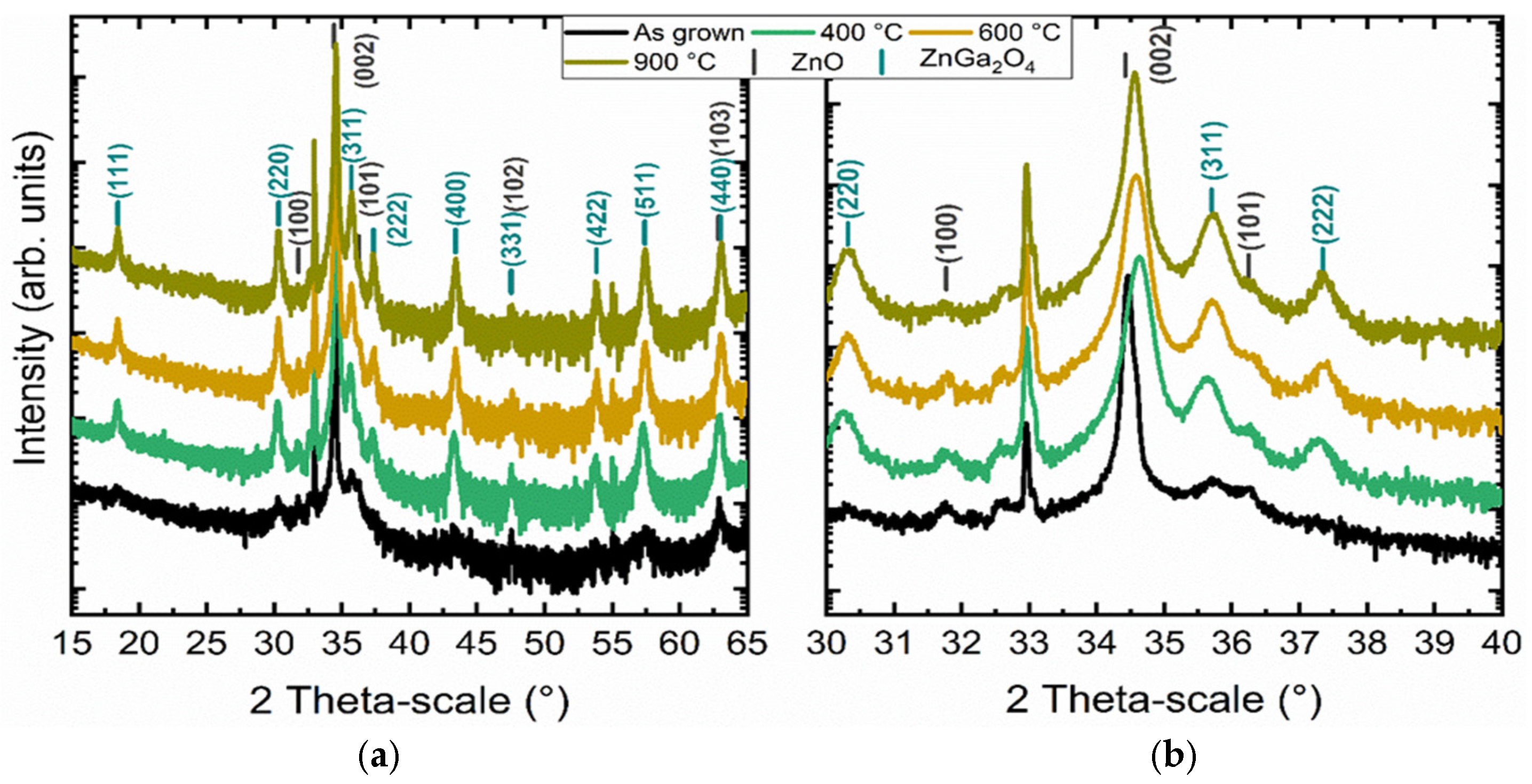 Nanomaterials 14 00991 g007