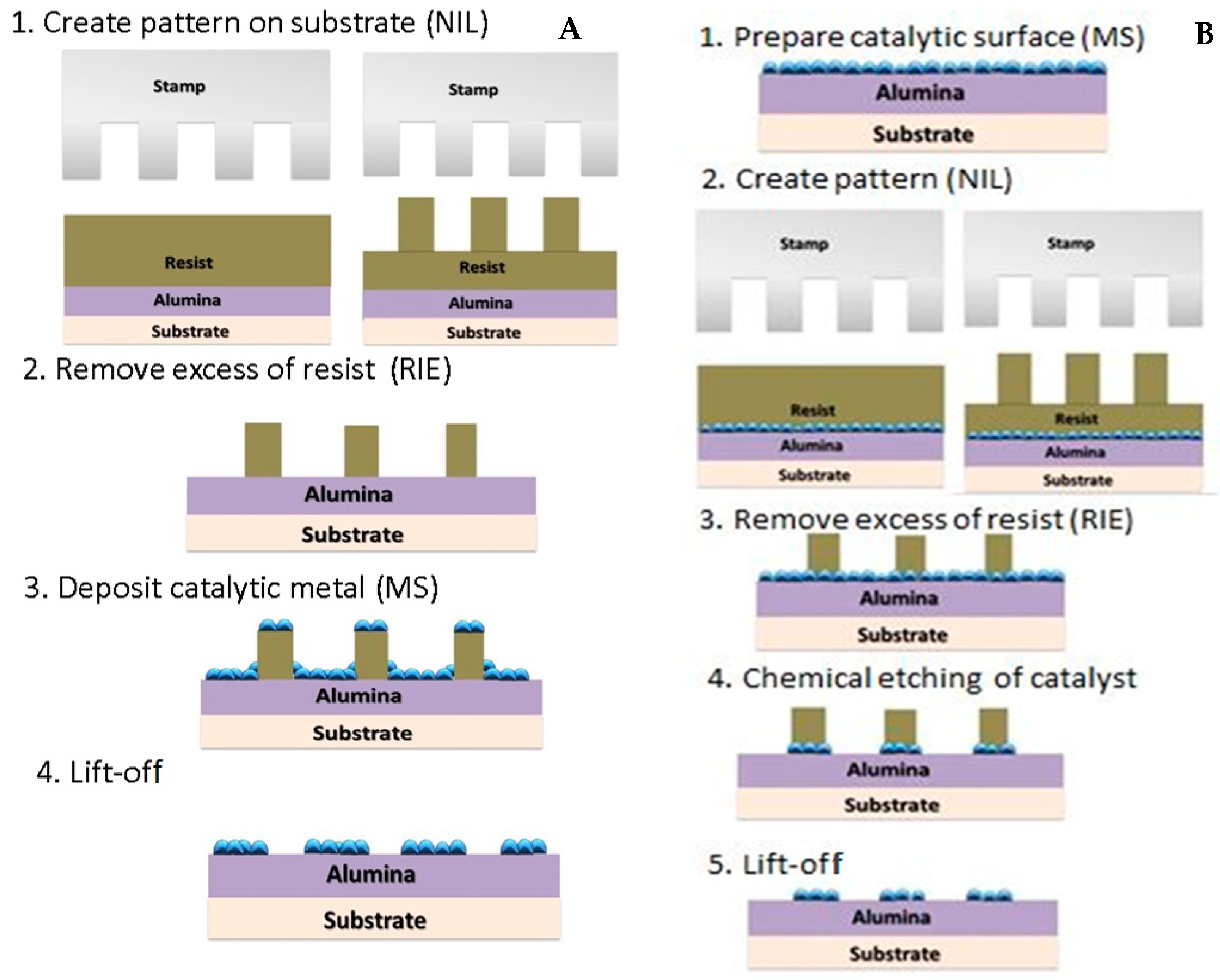 Nanomaterials 14 01011 g001