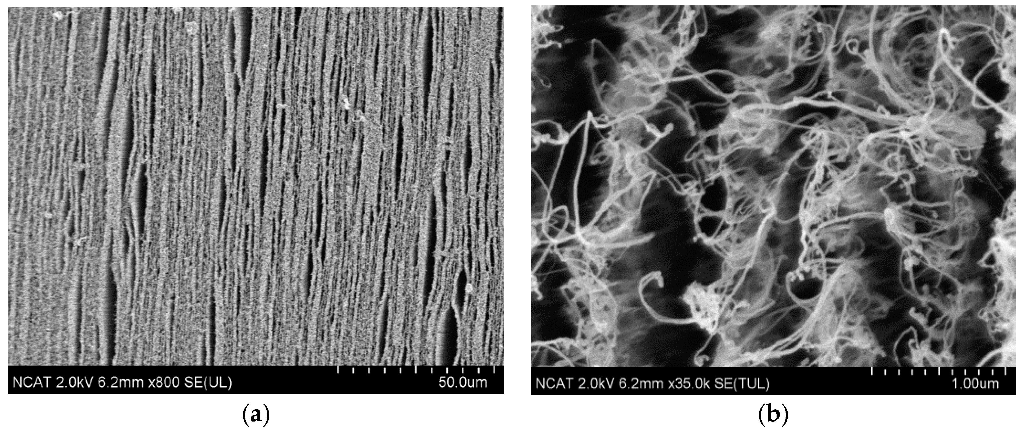 Nanomaterials 14 01011 g015