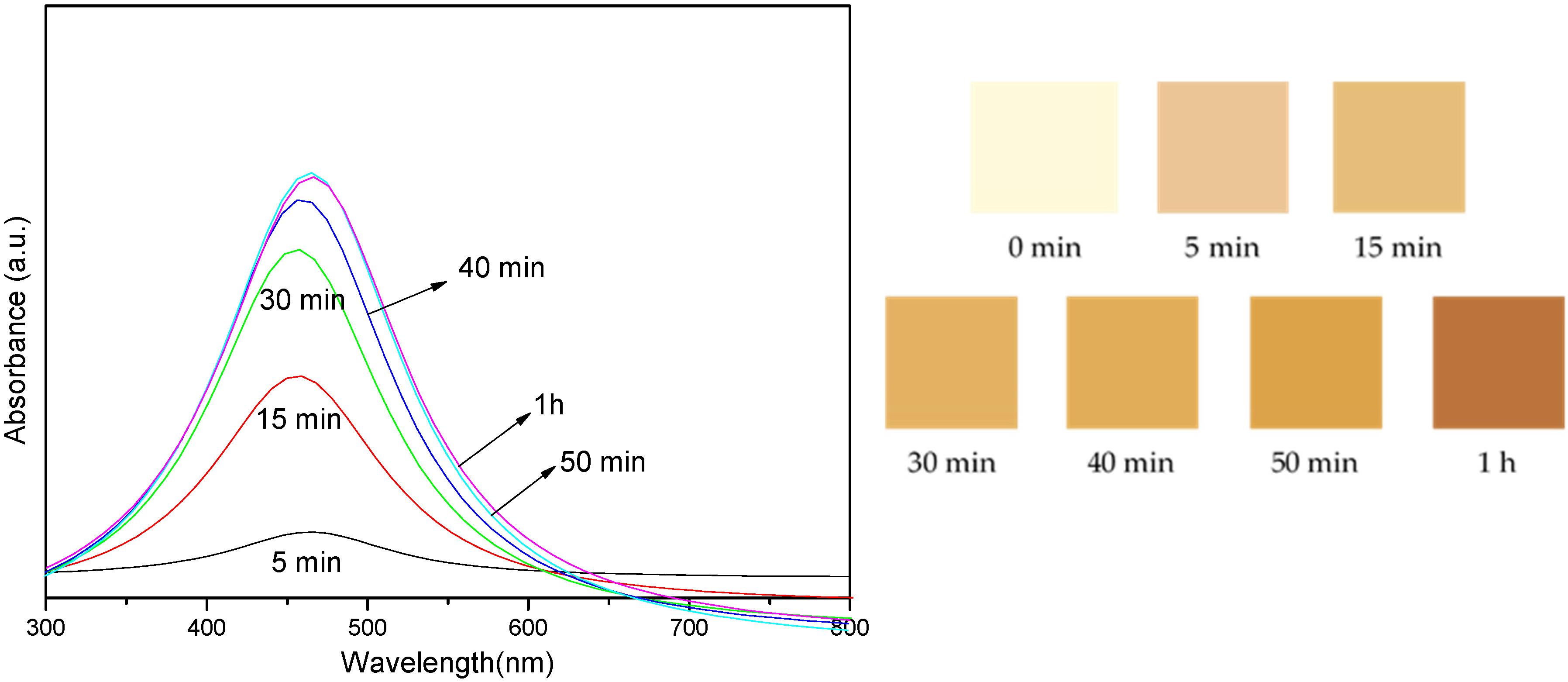 Nanomaterials 14 01018 g005