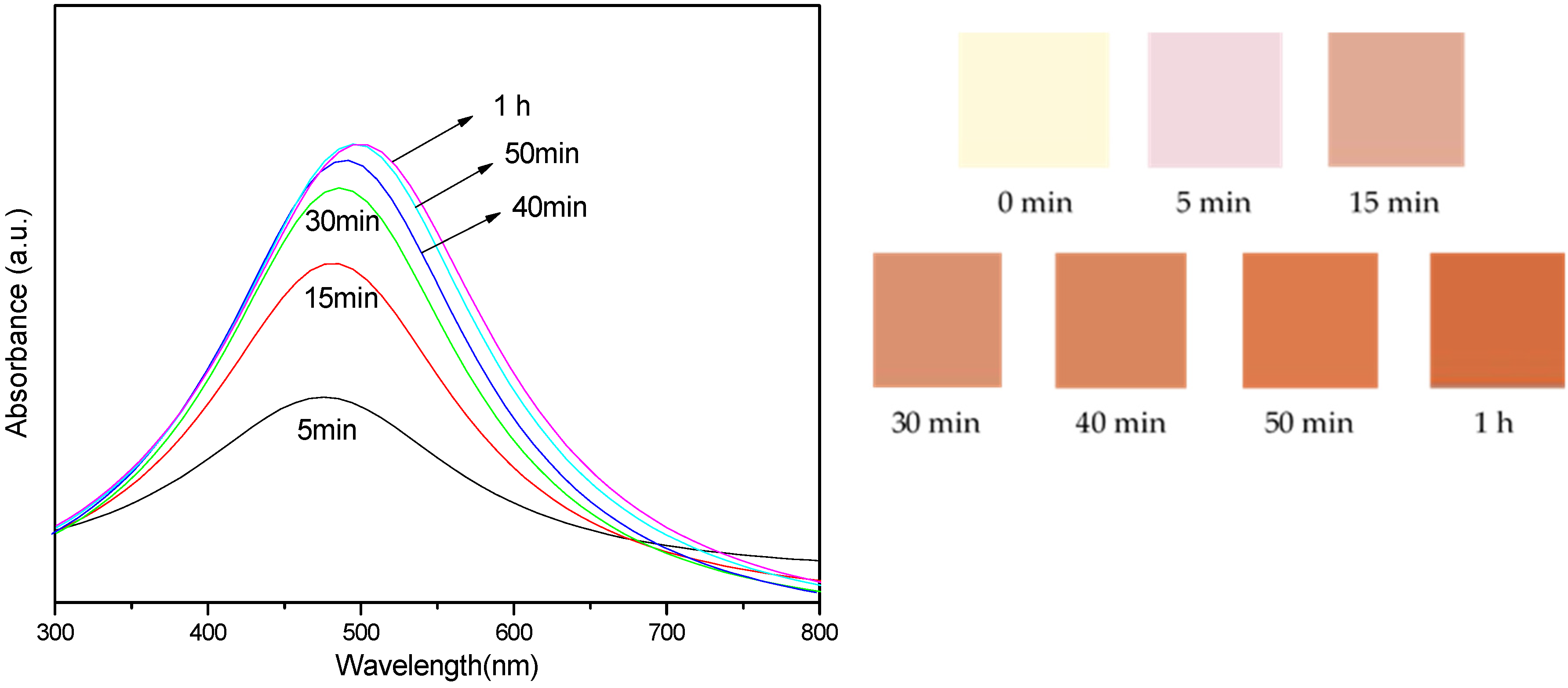 Nanomaterials 14 01018 g006