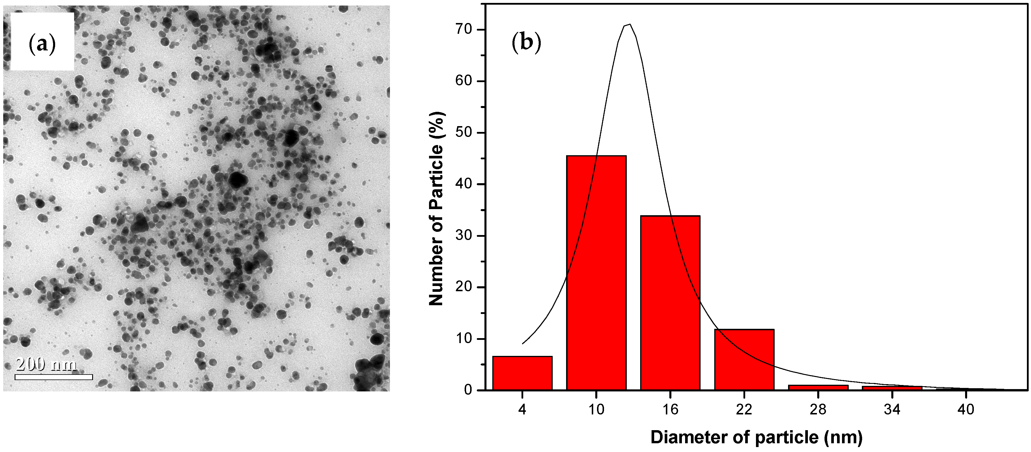 Nanomaterials 14 01018 g007