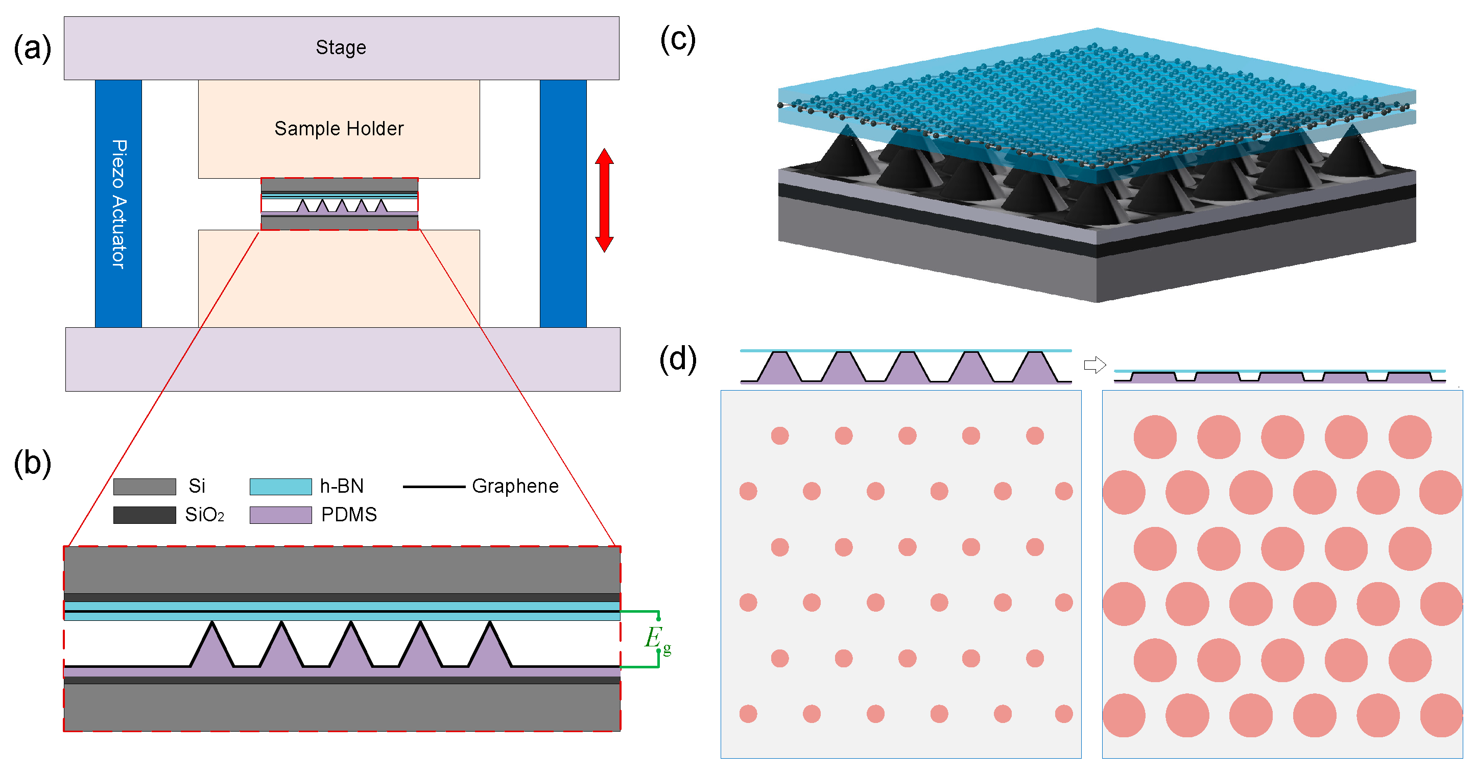 Nanomaterials 14 01019 g001