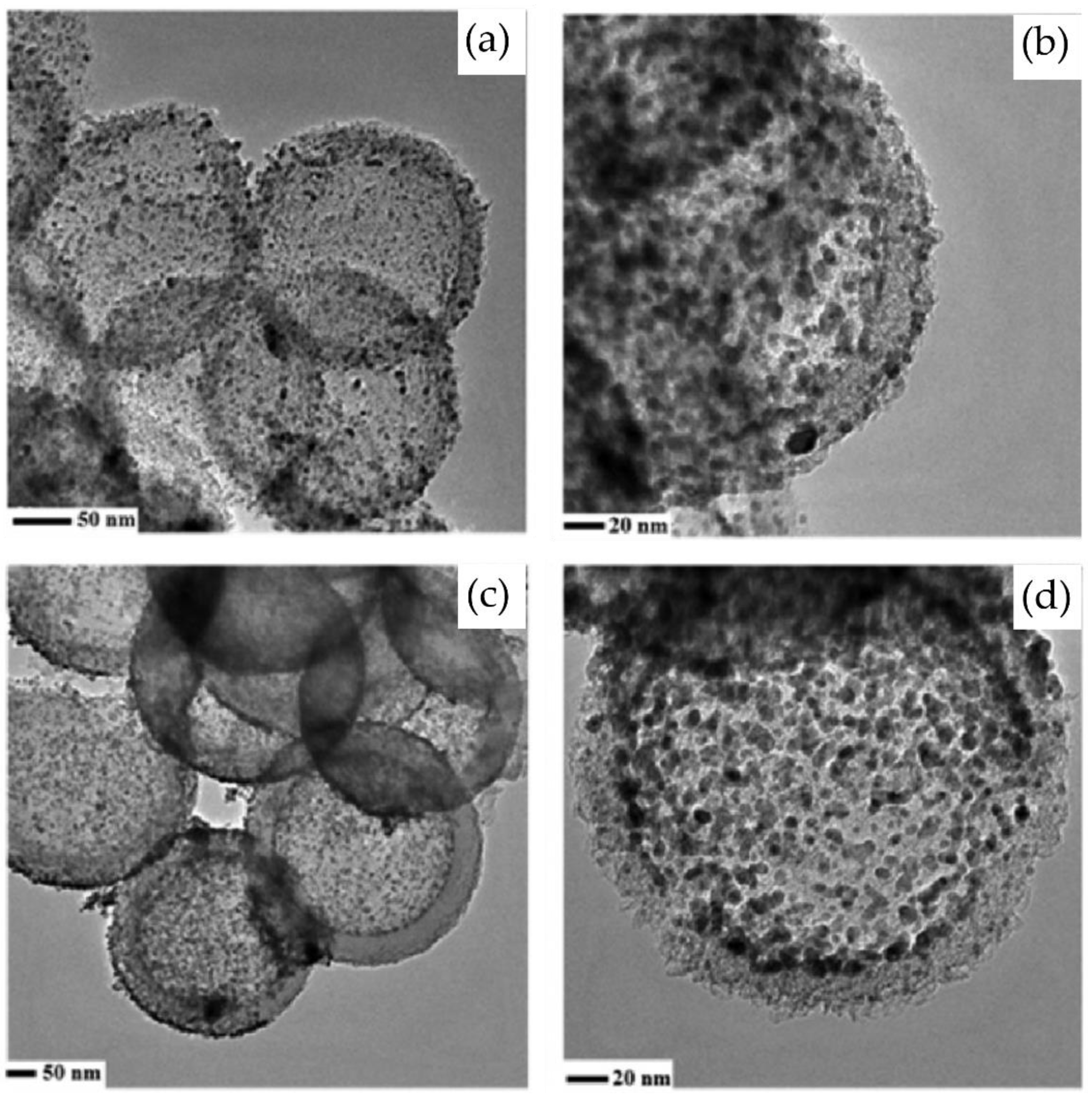 Nanomaterials 14 01036 g003 Nanomaterials 14 01036 g003