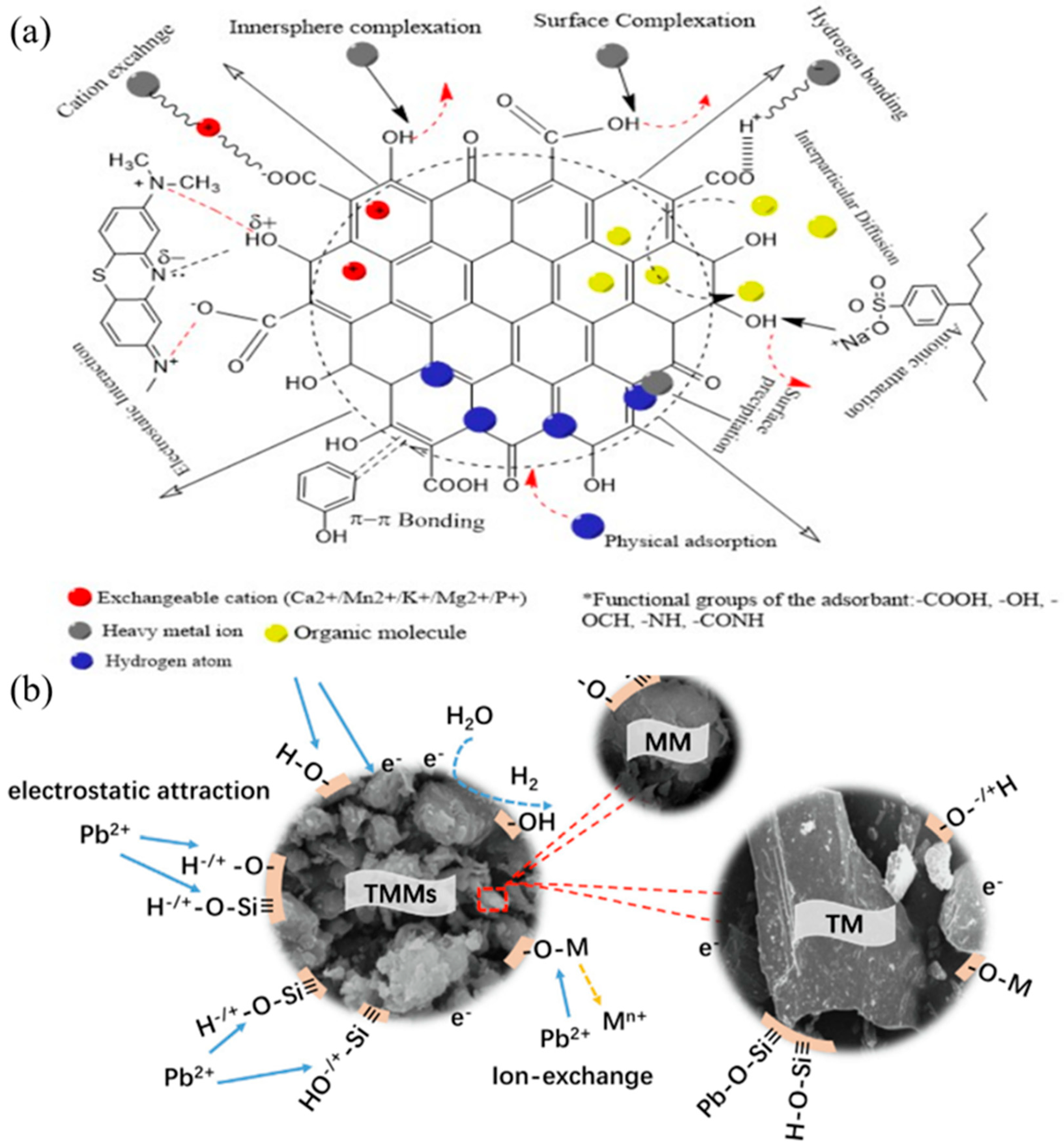 Nanomaterials 14 01037 g005