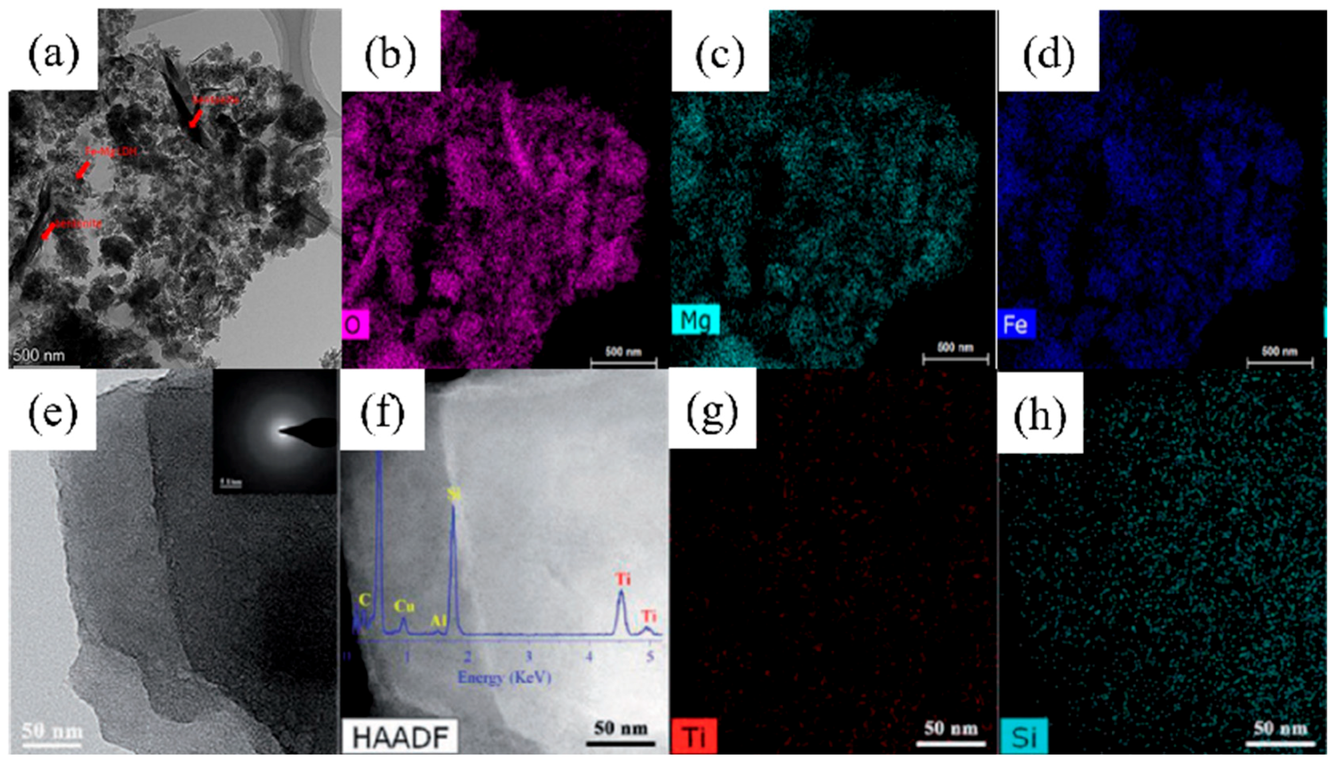 Nanomaterials 14 01037 g009