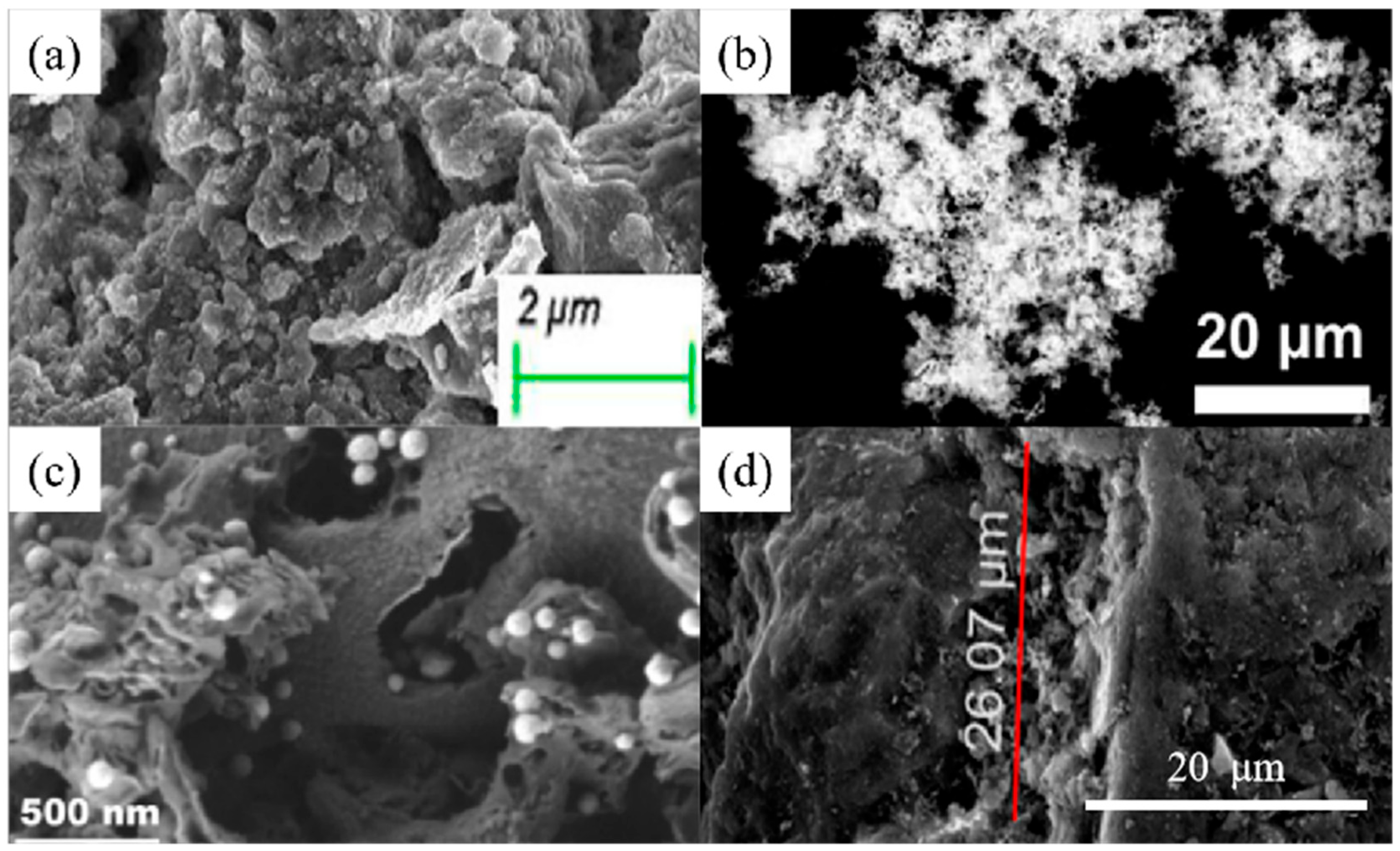 Nanomaterials 14 01037 g010