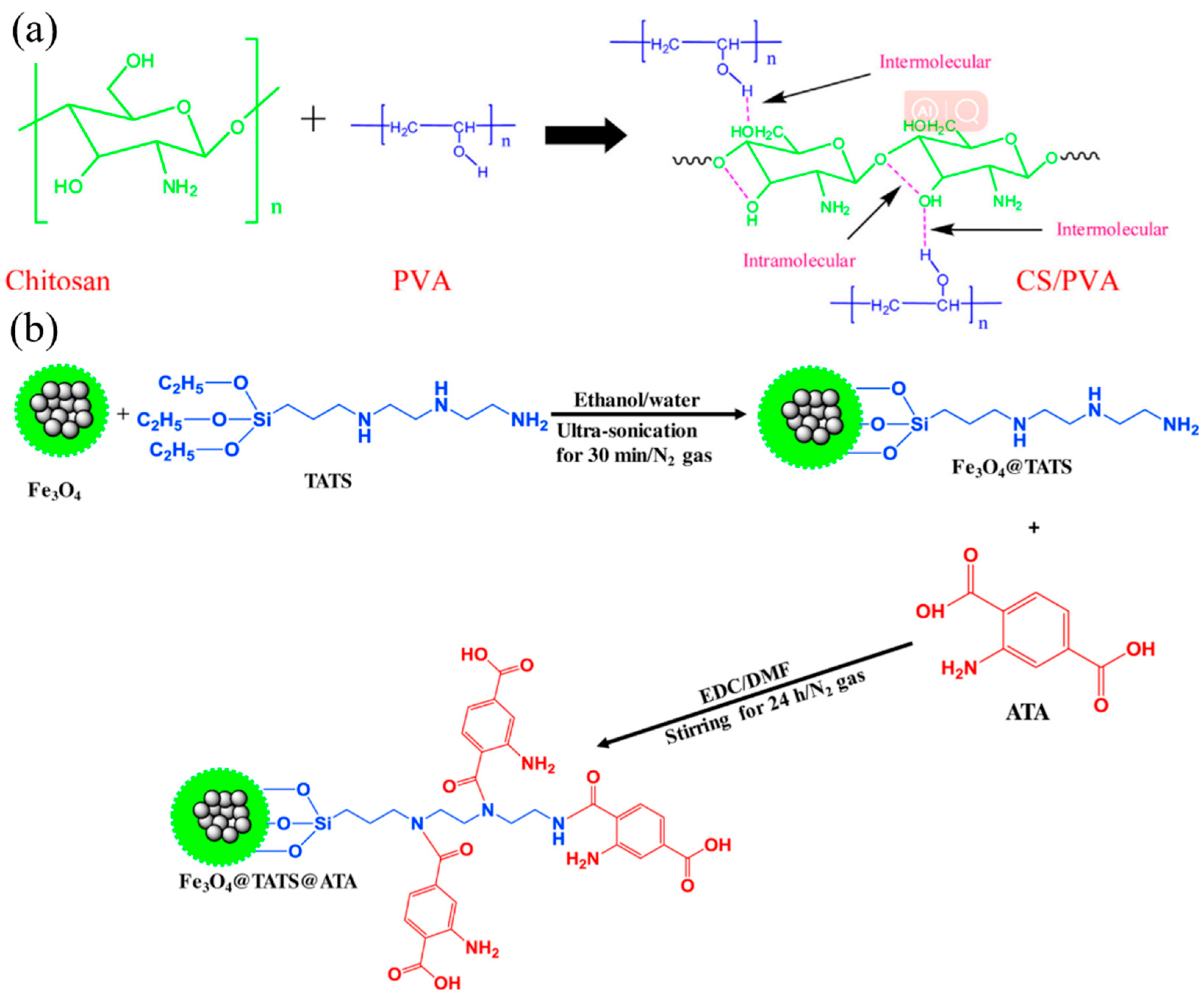 Nanomaterials 14 01037 g011