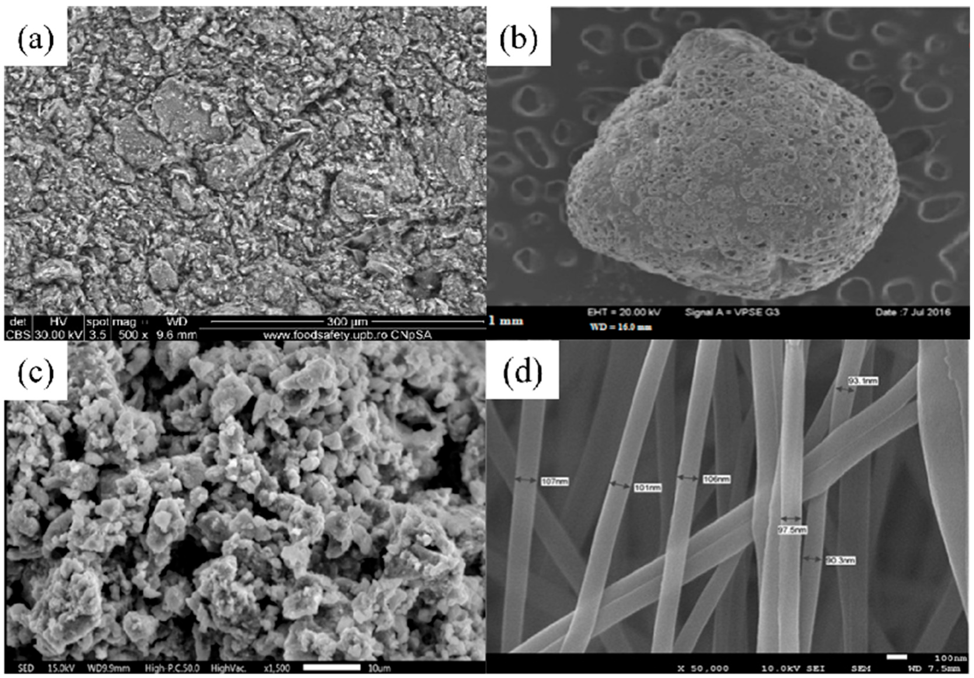 Nanomaterials 14 01037 g012