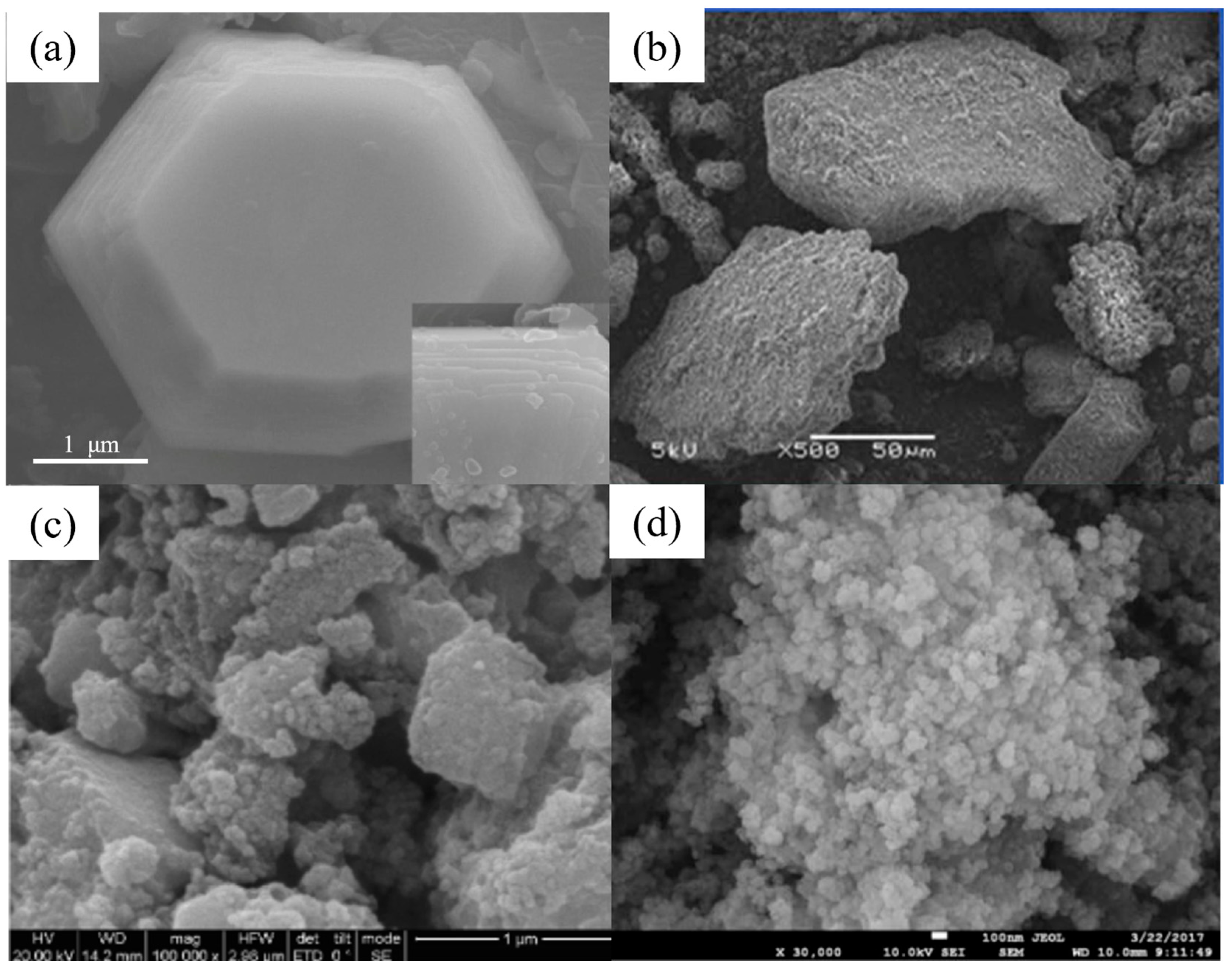 Nanomaterials 14 01037 g014