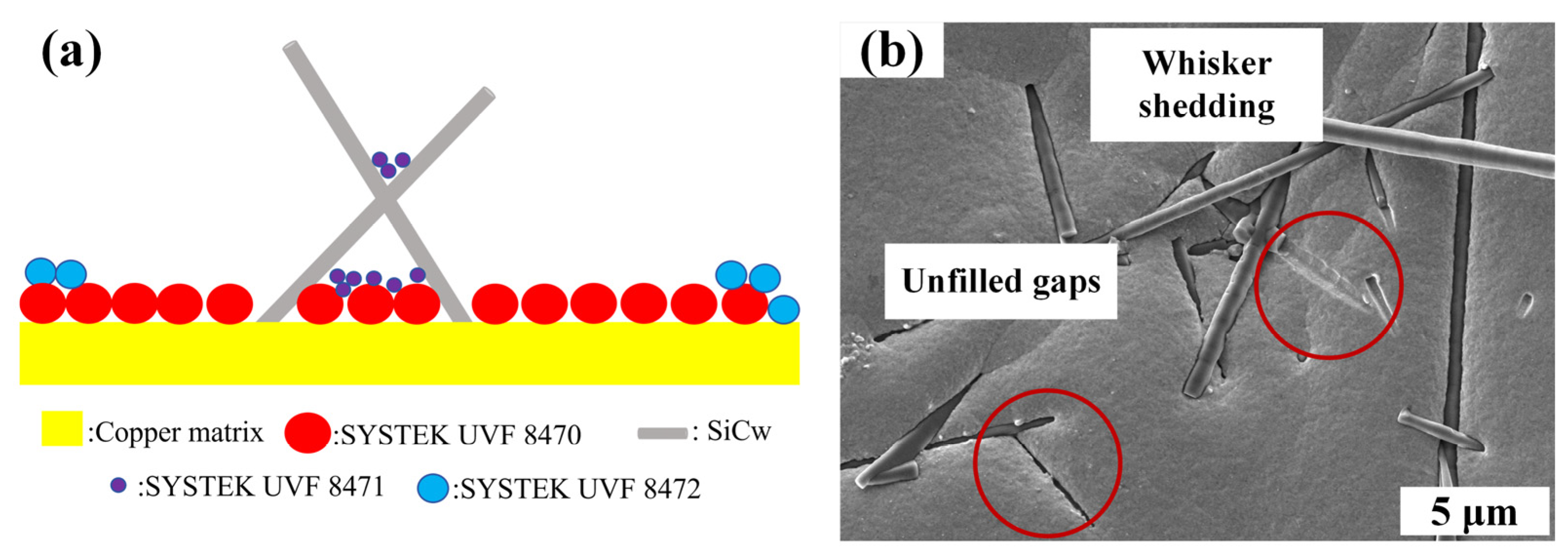 Nanomaterials 14 01043 g003 Nanomaterials 14 01043 g003