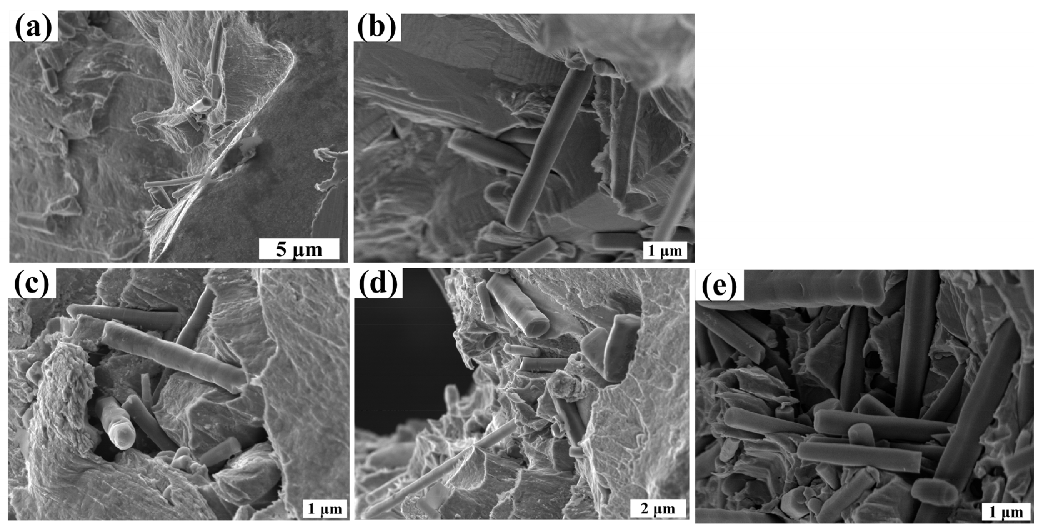 Nanomaterials 14 01043 g004 Nanomaterials 14 01043 g004