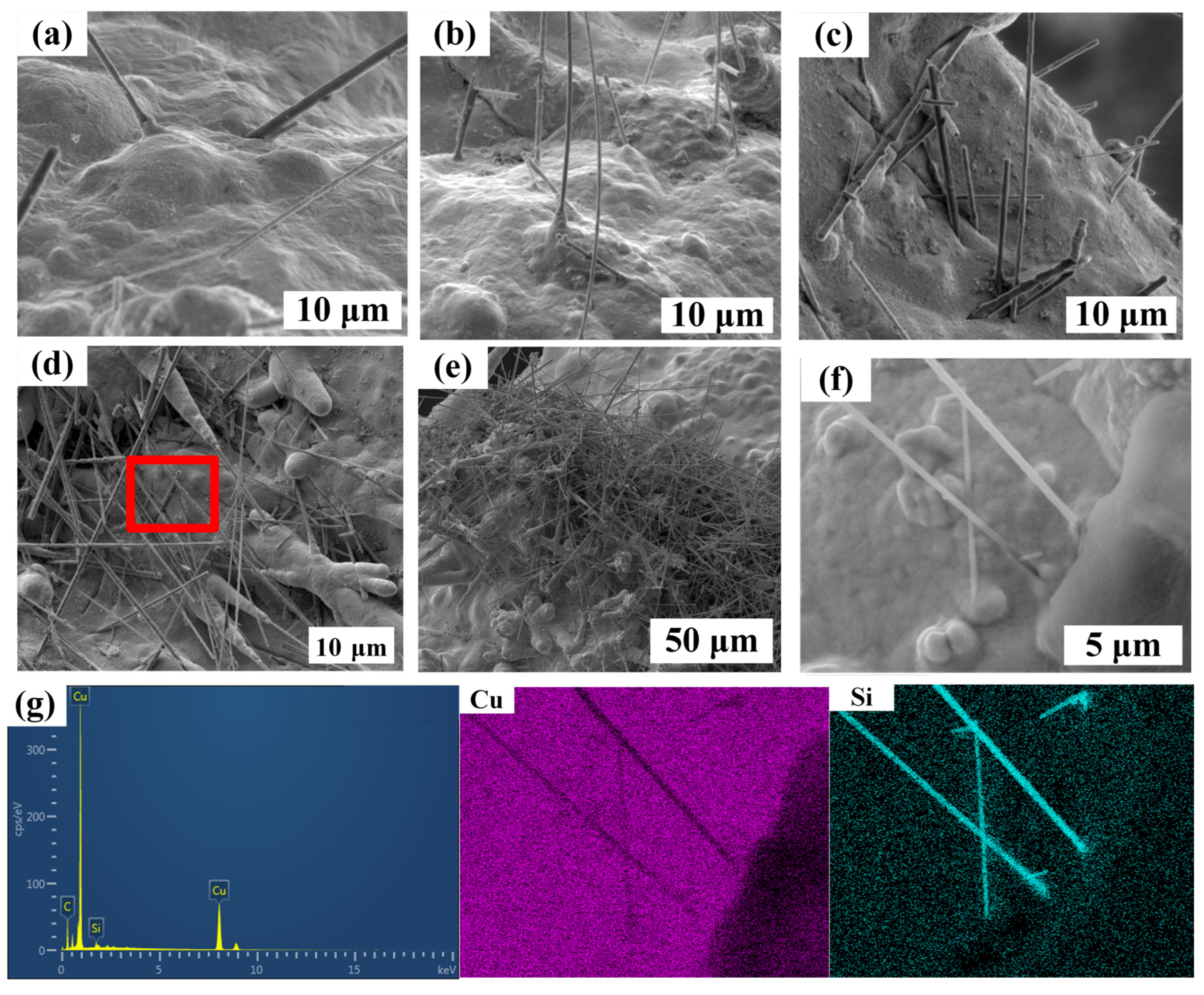 Nanomaterials 14 01043 g005 Nanomaterials 14 01043 g005