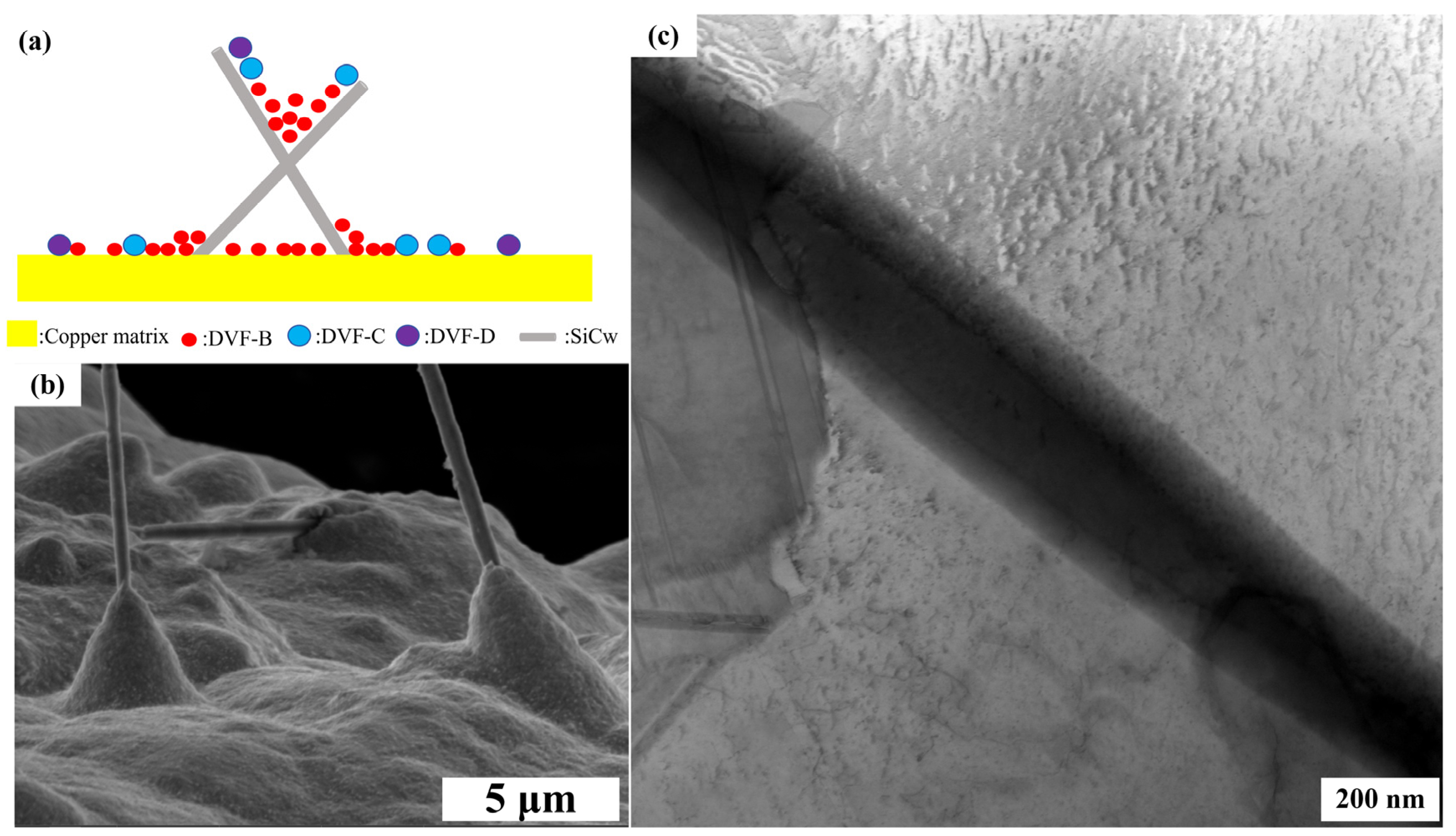 Nanomaterials 14 01043 g006 Nanomaterials 14 01043 g006