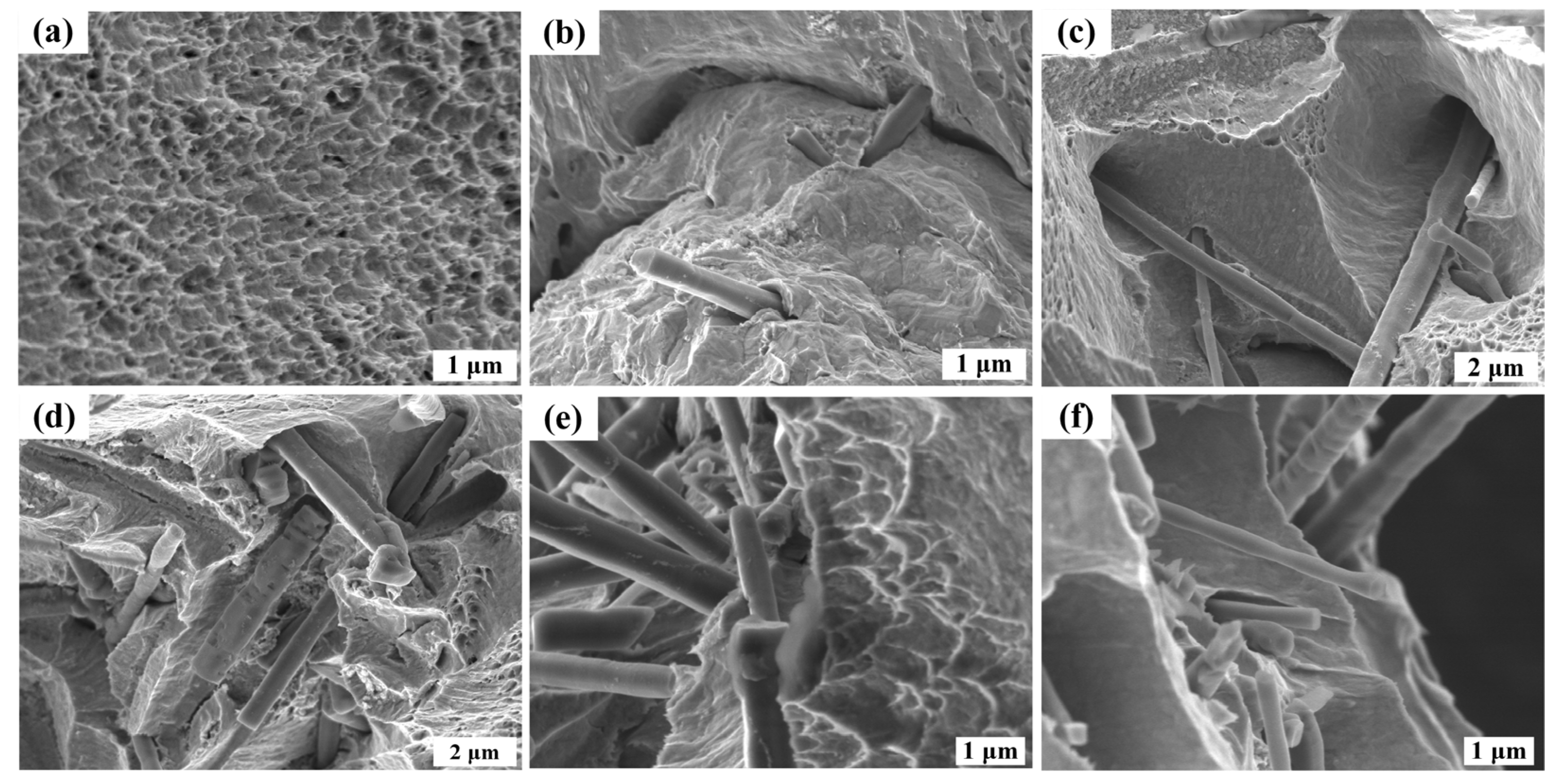 Nanomaterials 14 01043 g007 Nanomaterials 14 01043 g007