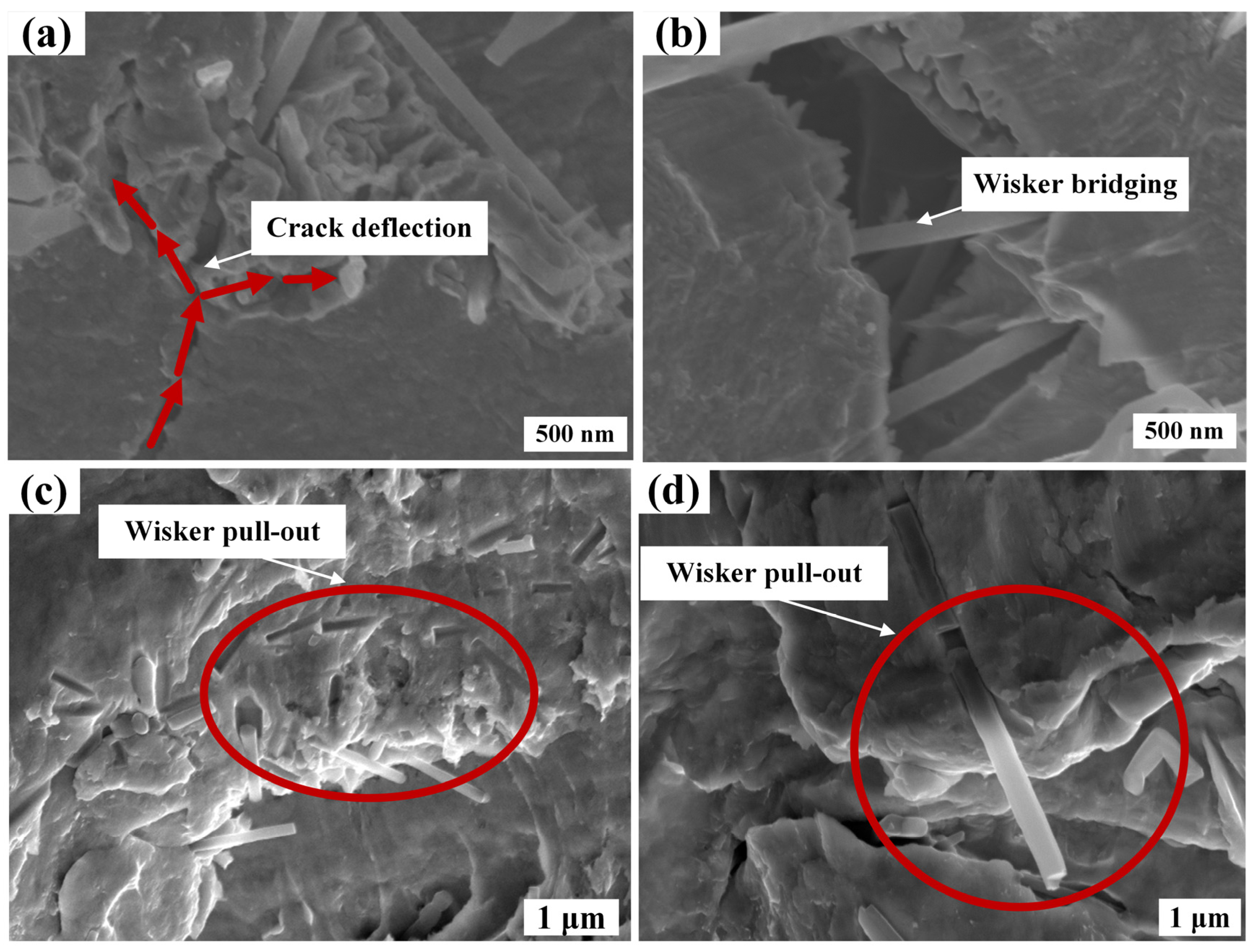 Nanomaterials 14 01043 g008 Nanomaterials 14 01043 g008