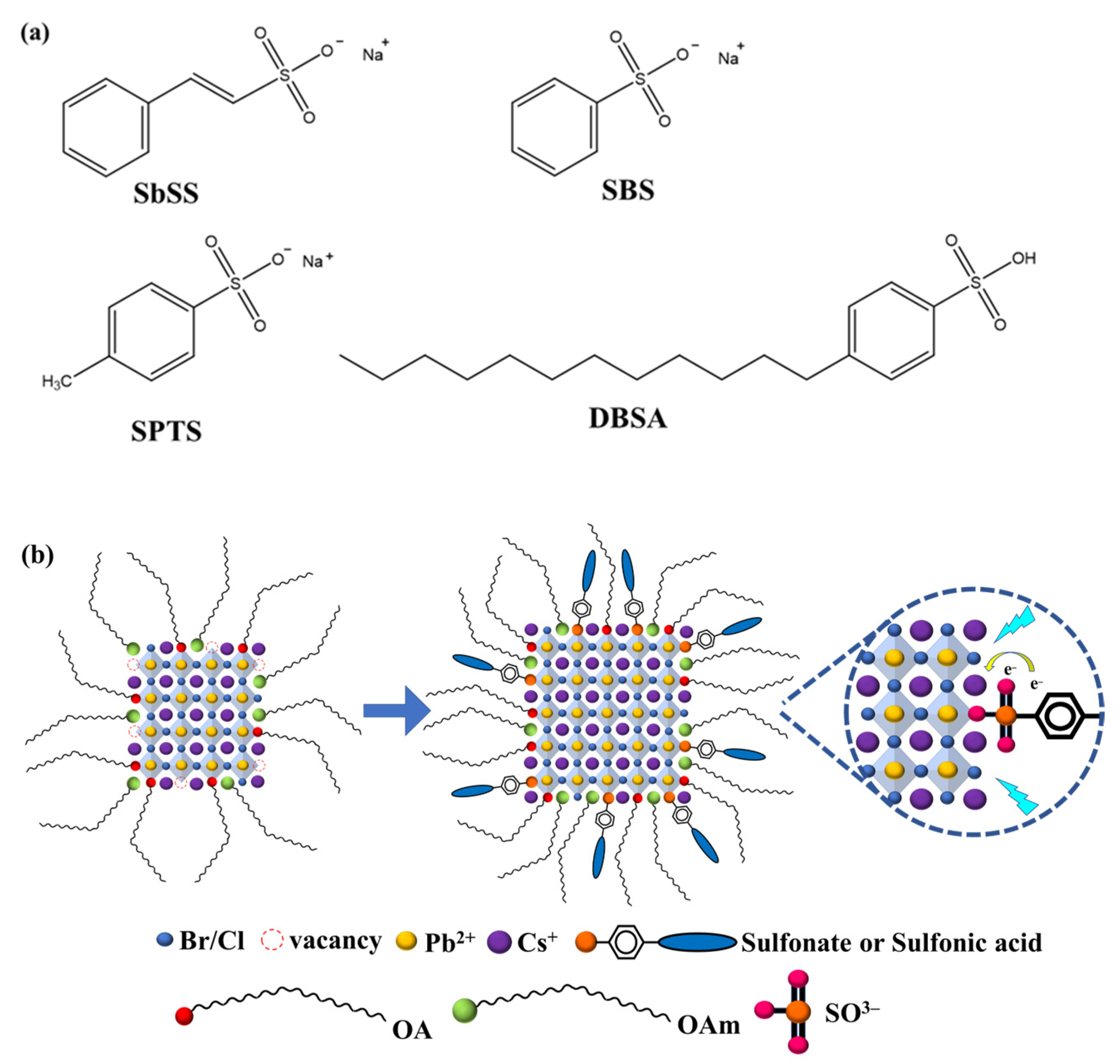 Nanomaterials 14 01049 g001
