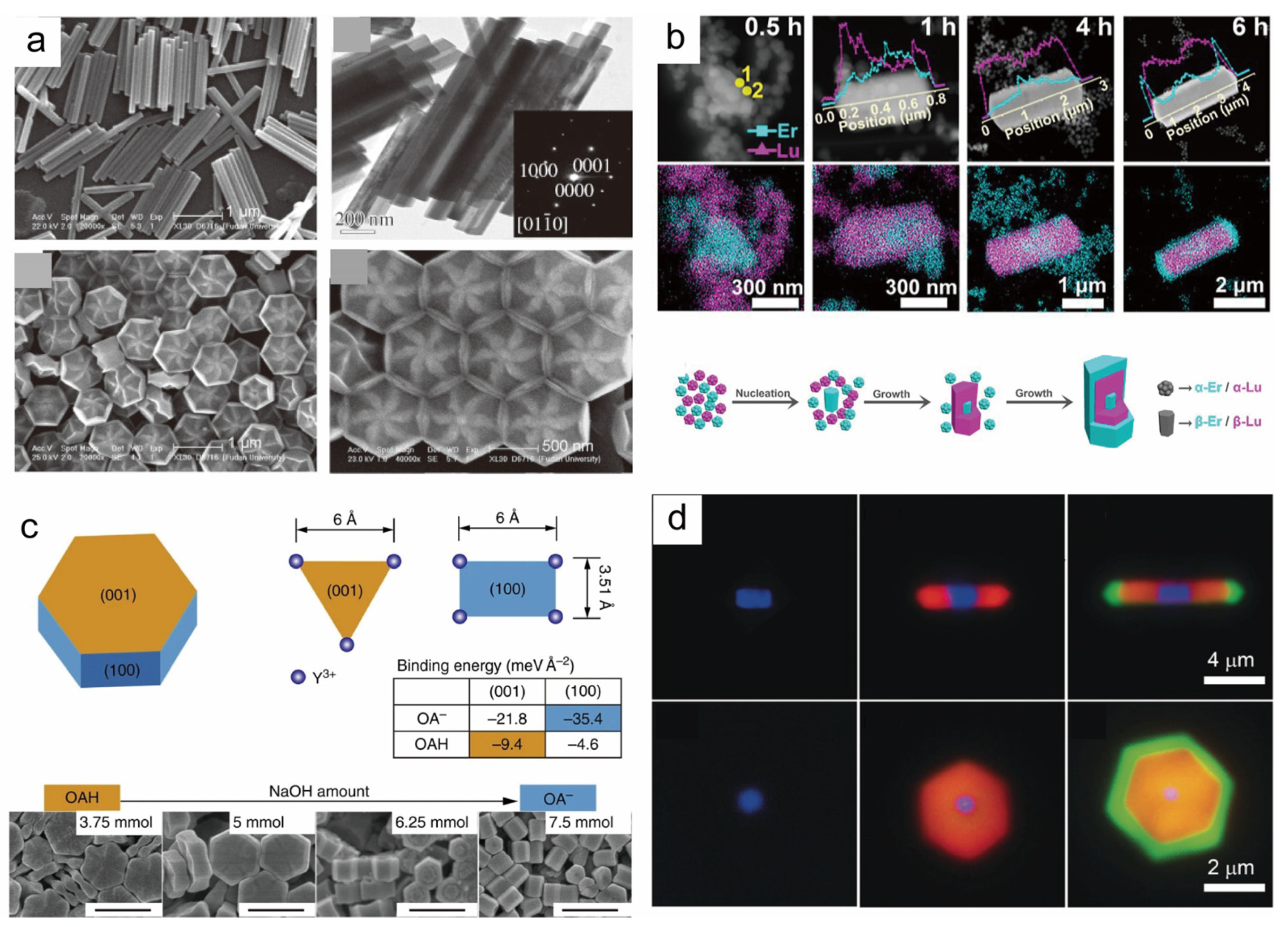Nanomaterials 14 01063 g001