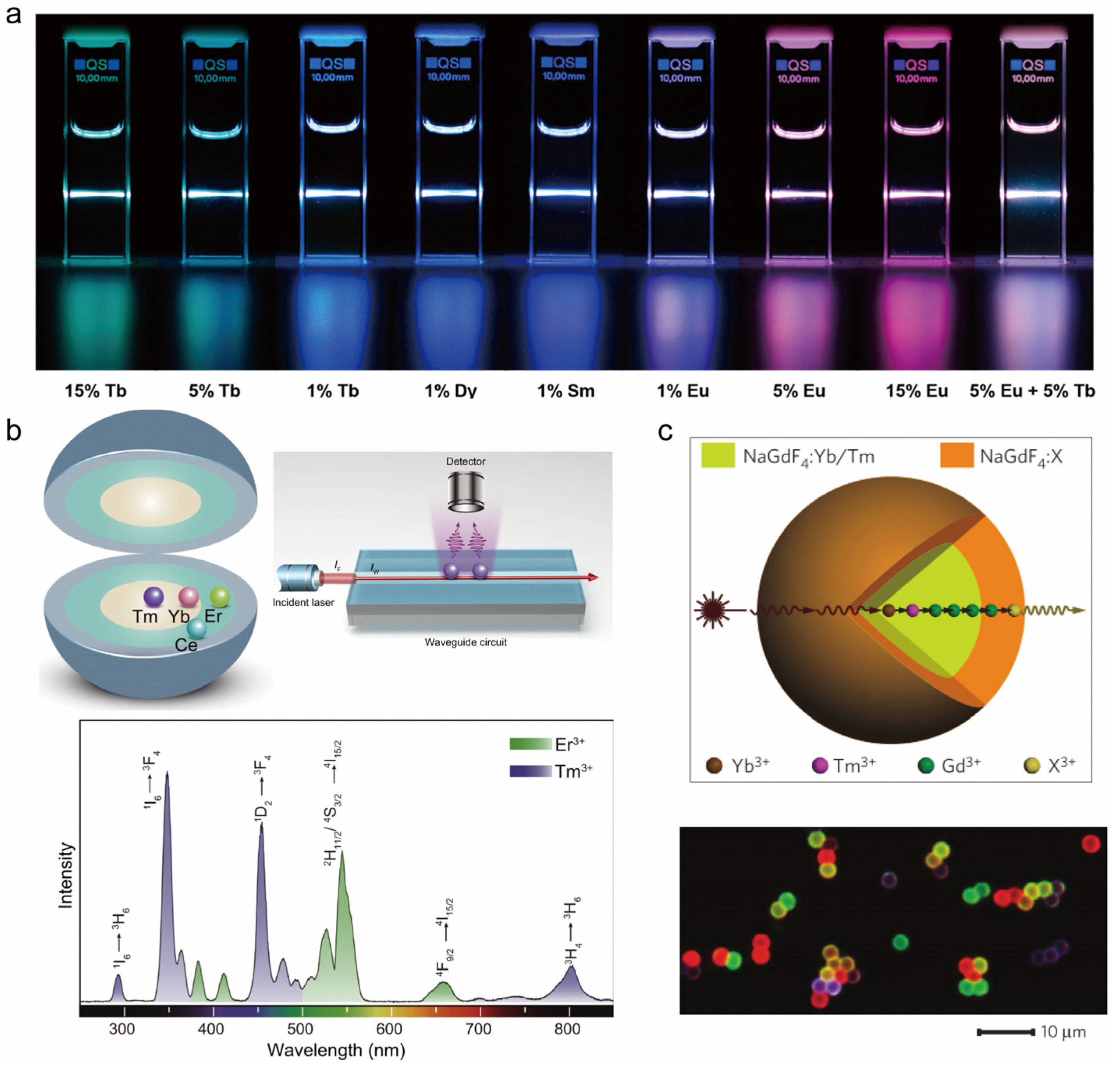 Nanomaterials 14 01063 g006