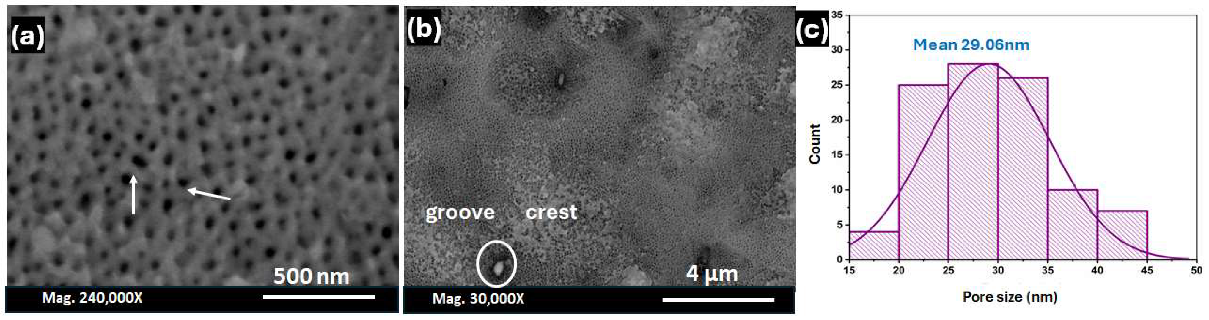 Nanomaterials 14 01078 g005 Nanomaterials 14 01078 g005