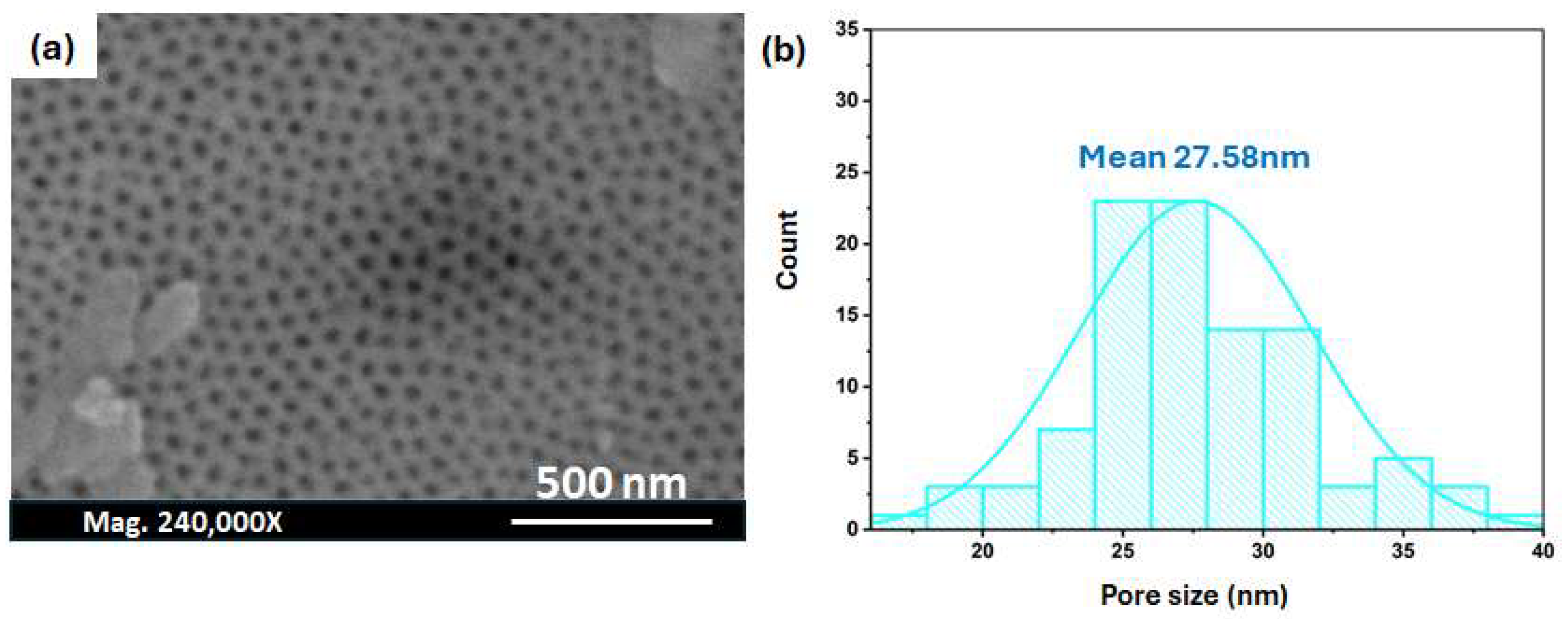 Nanomaterials 14 01078 g007 Nanomaterials 14 01078 g007