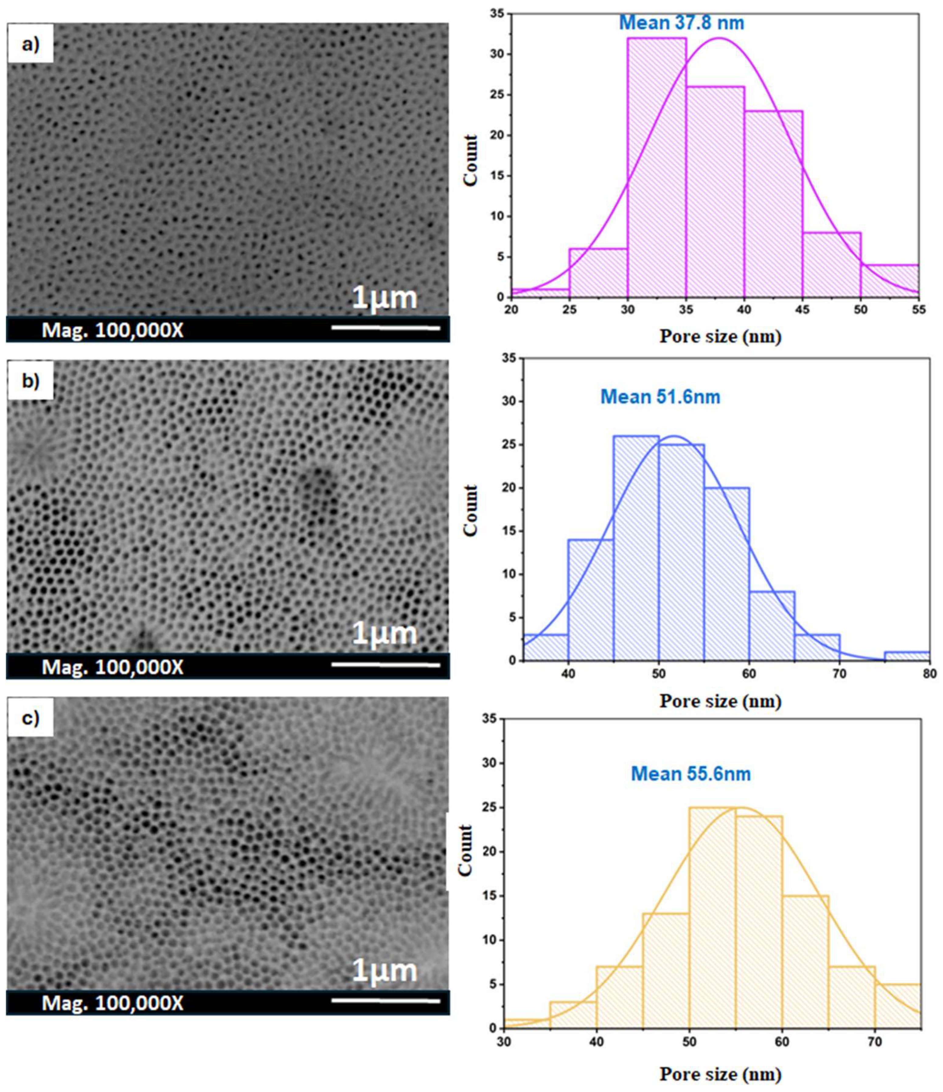 Nanomaterials 14 01078 g008 Nanomaterials 14 01078 g008