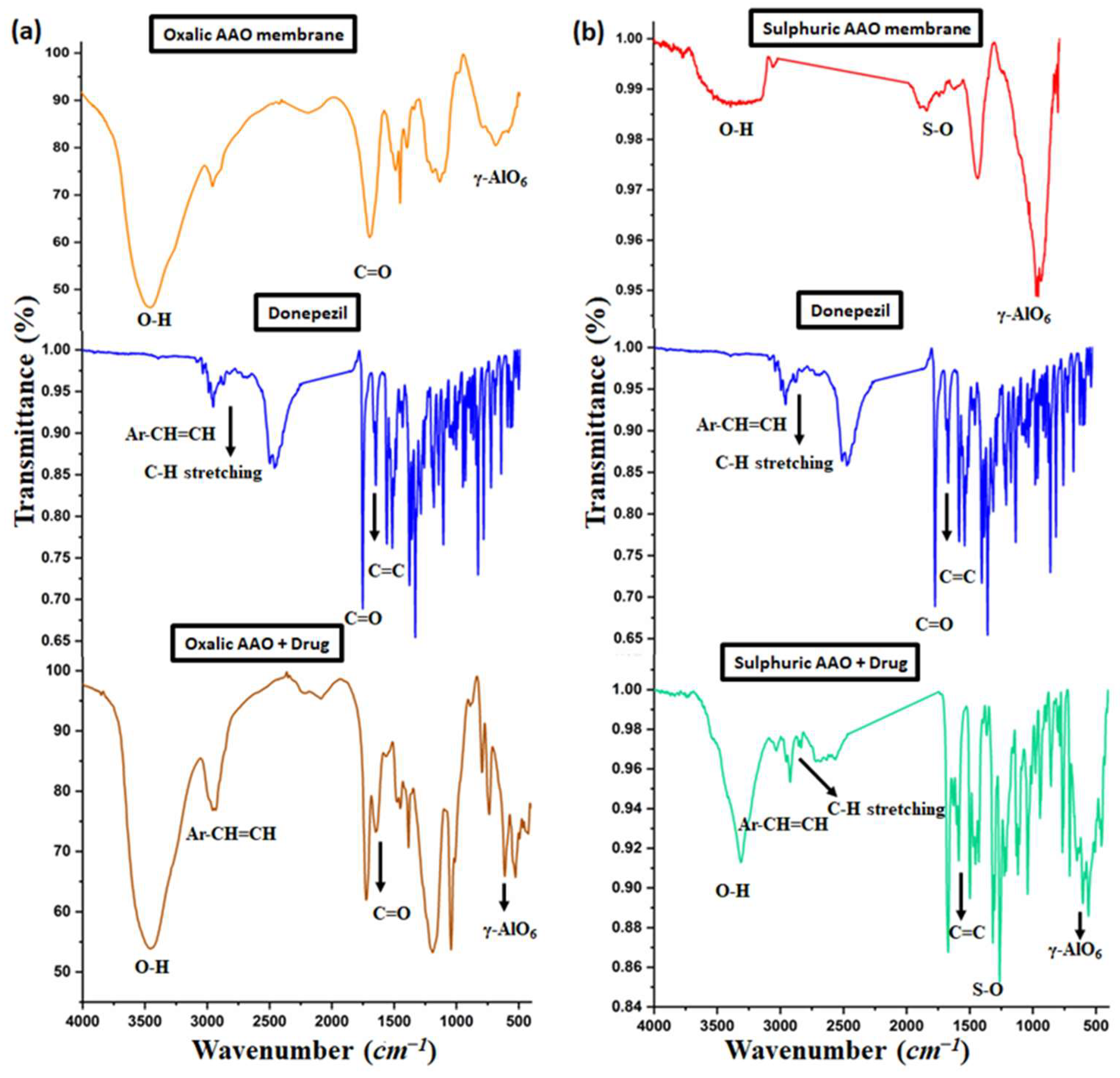 Nanomaterials 14 01078 g010 Nanomaterials 14 01078 g010