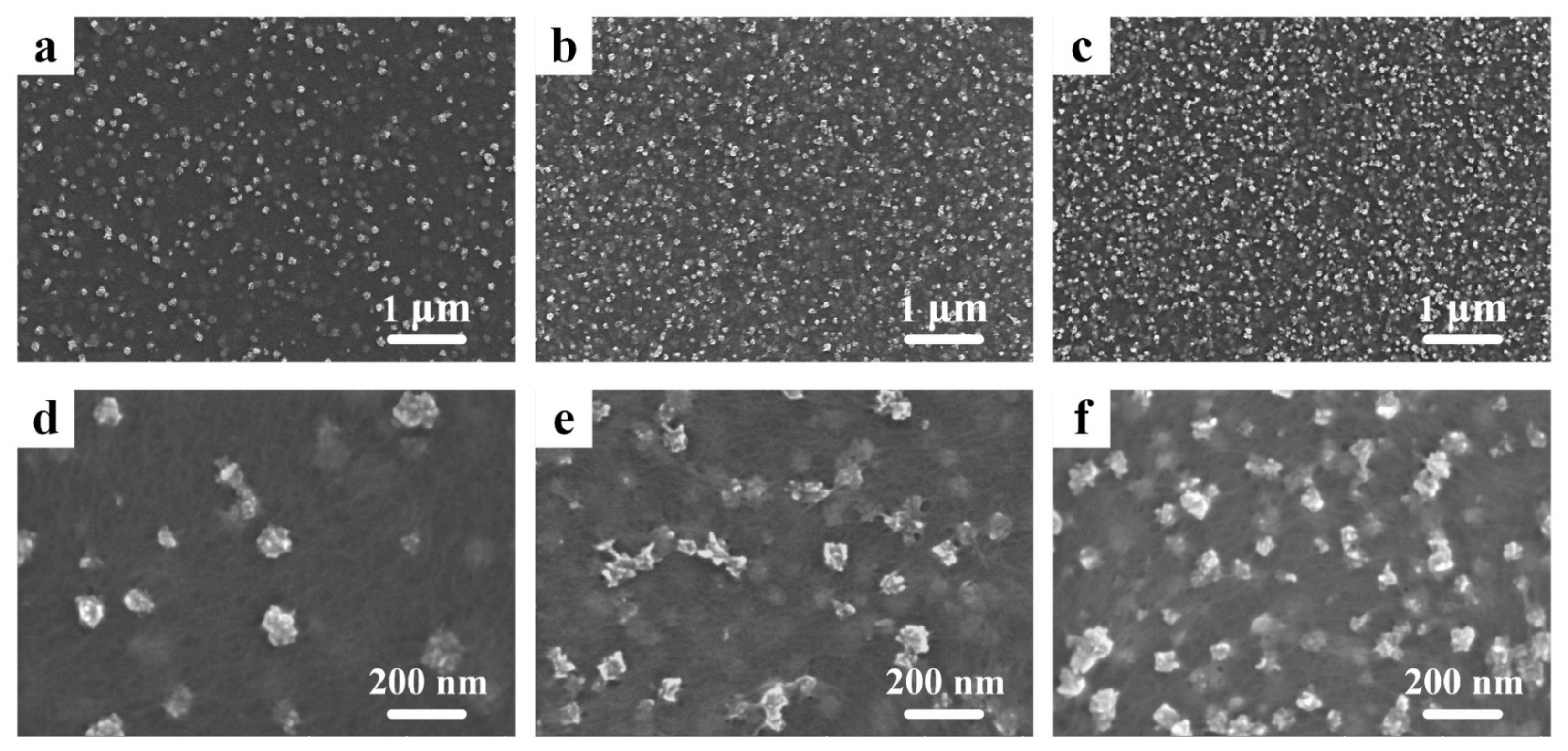 Nanomaterials 14 01080 g002