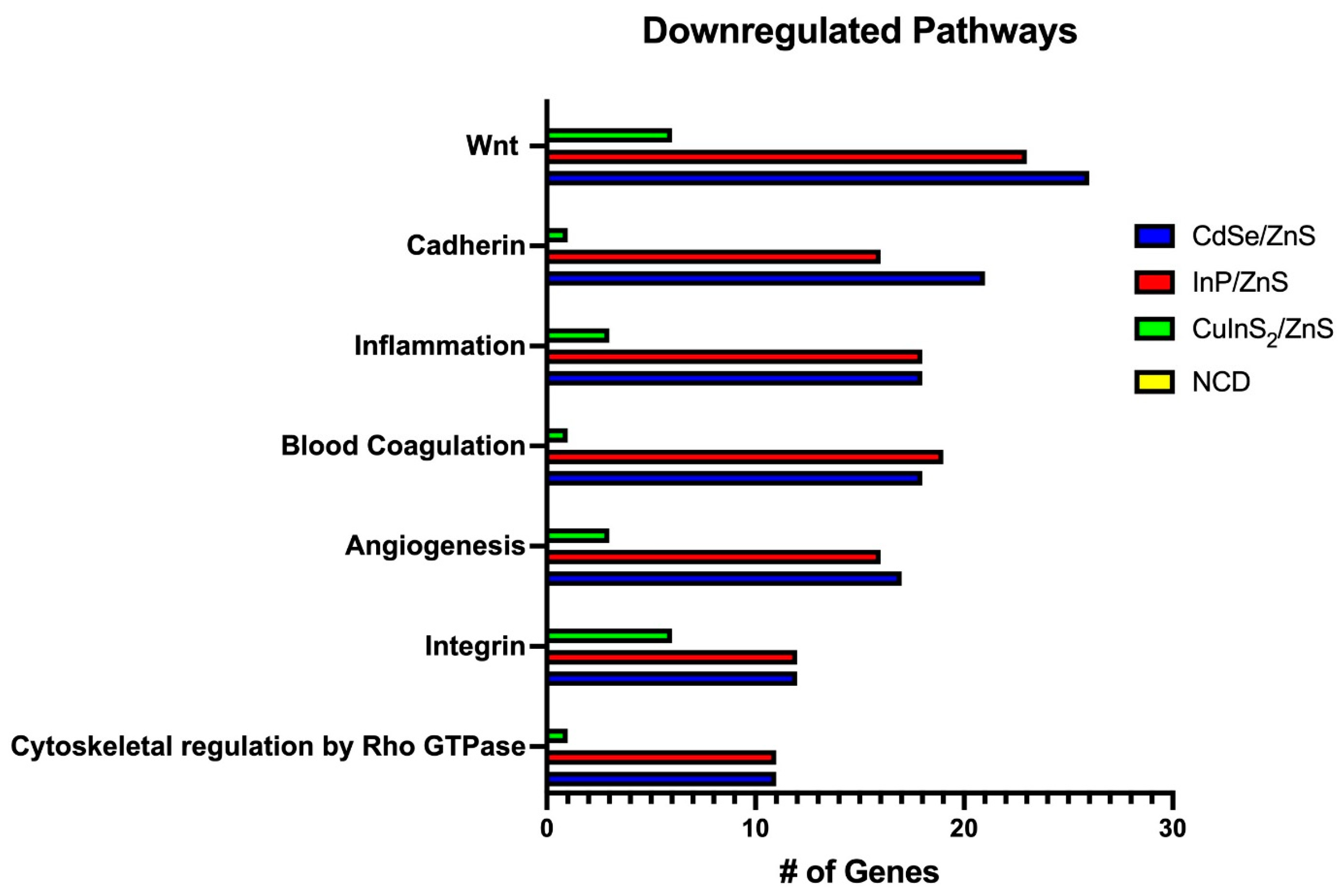 Nanomaterials 14 01086 g010