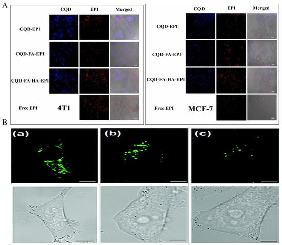 Nanomaterials 14 01088 g003