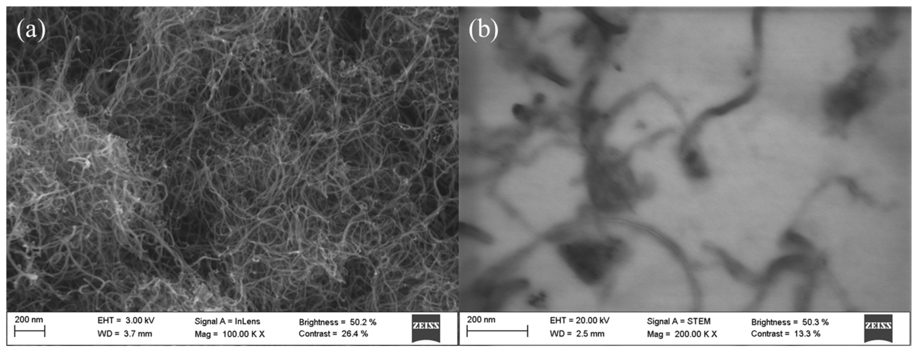 Nanomaterials 14 01101 g002 Nanomaterials 14 01101 g002
