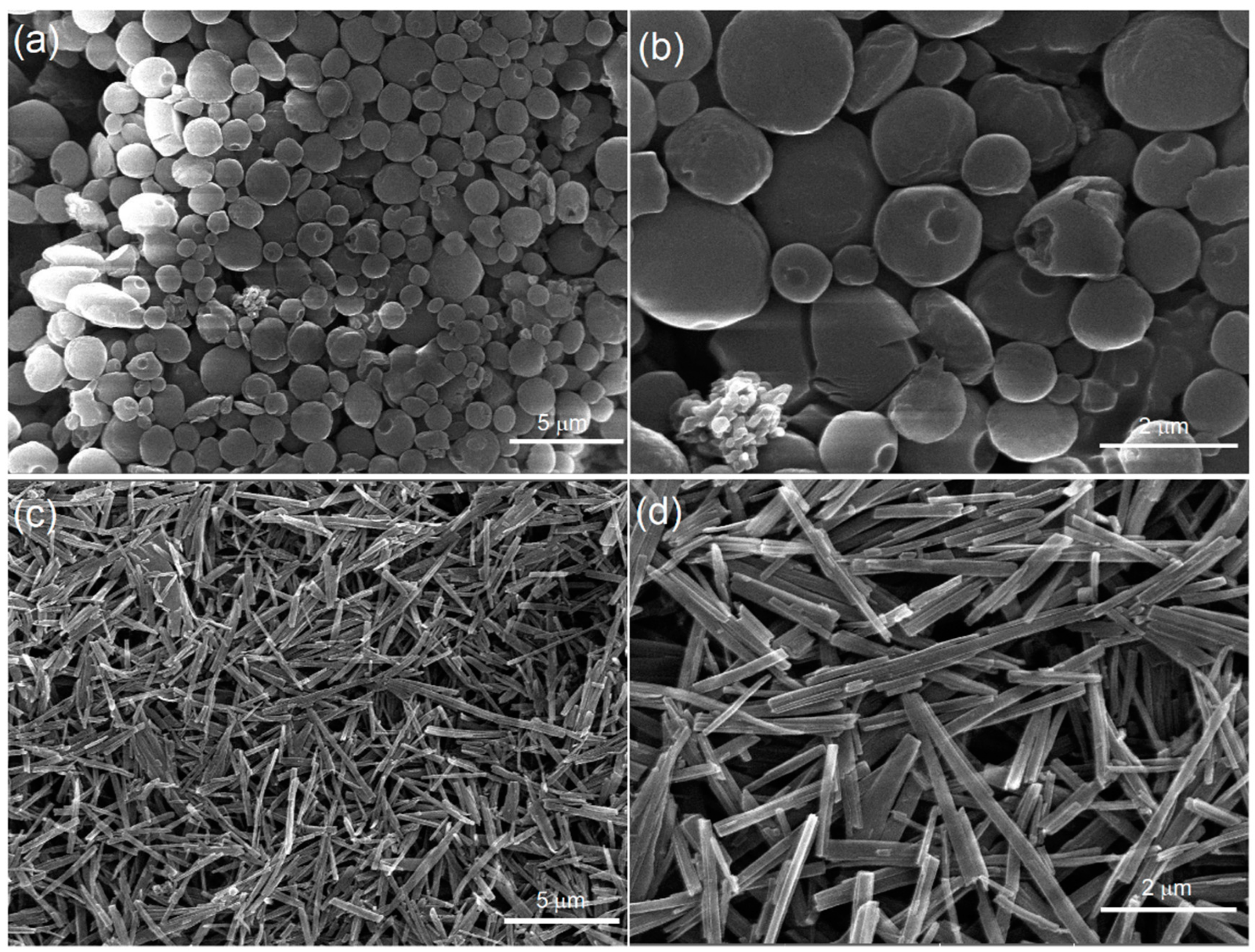 Nanomaterials 14 01104 g005
