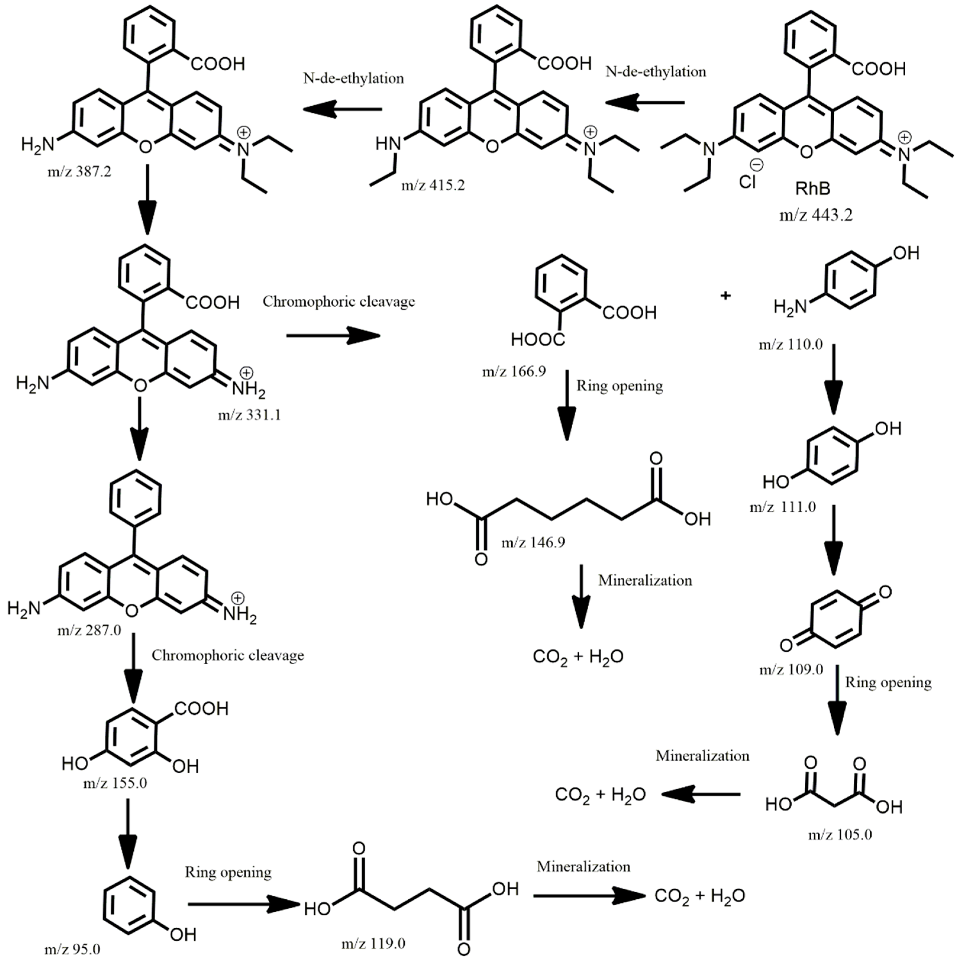Nanomaterials 14 01104 g008