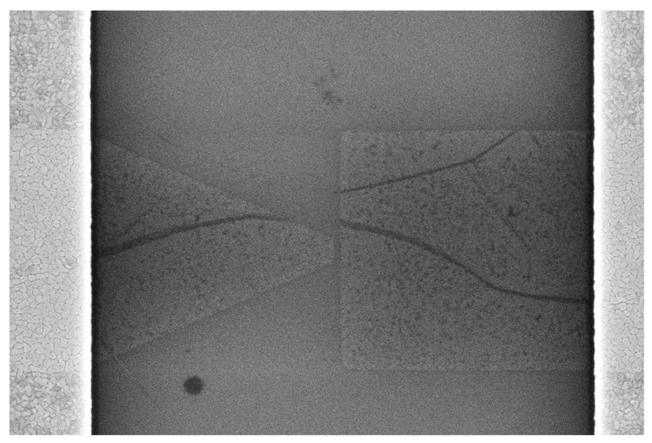 Nanomaterials 14 01114 g006