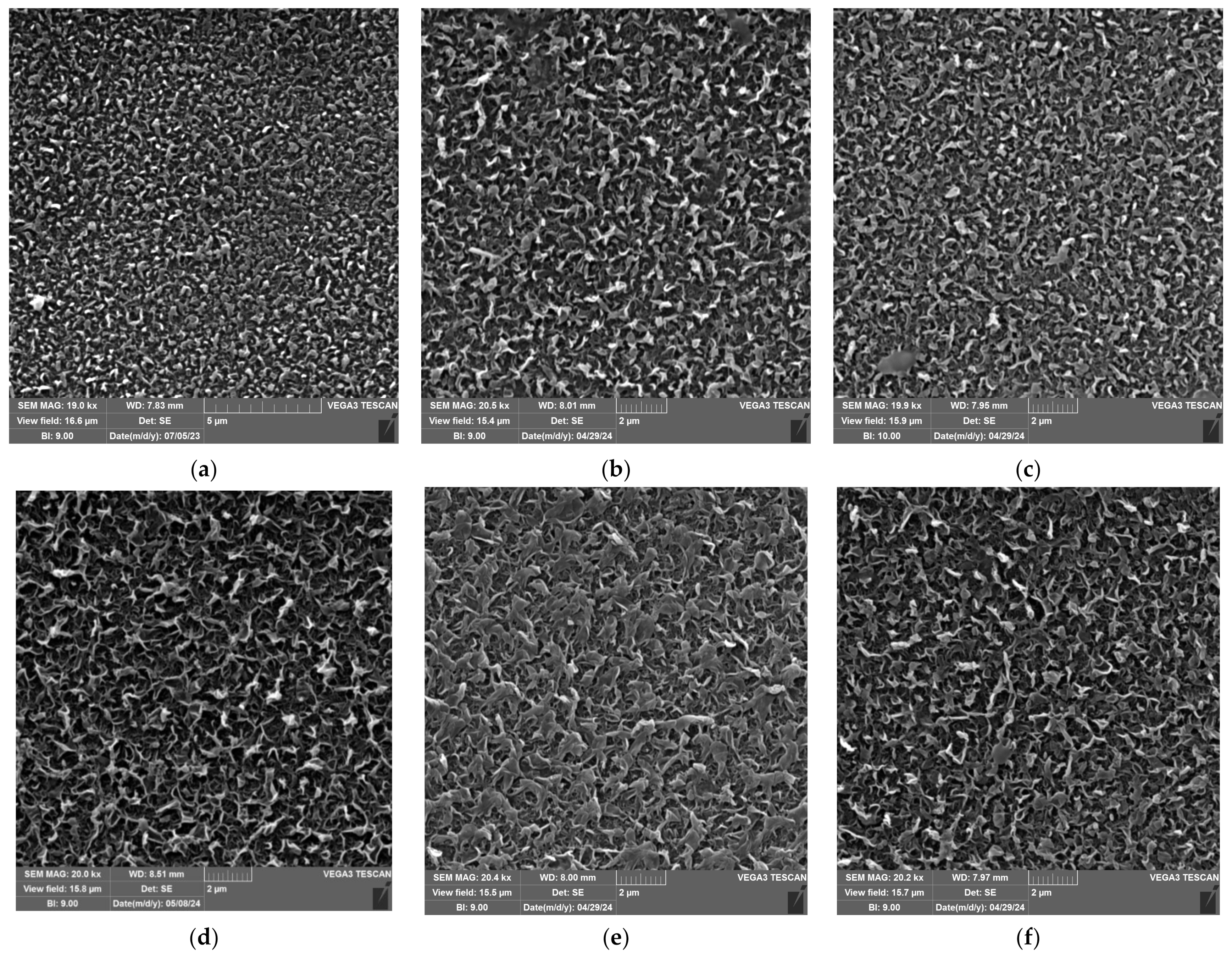 Nanomaterials 14 01117 g007a Nanomaterials 14 01117 g007a
