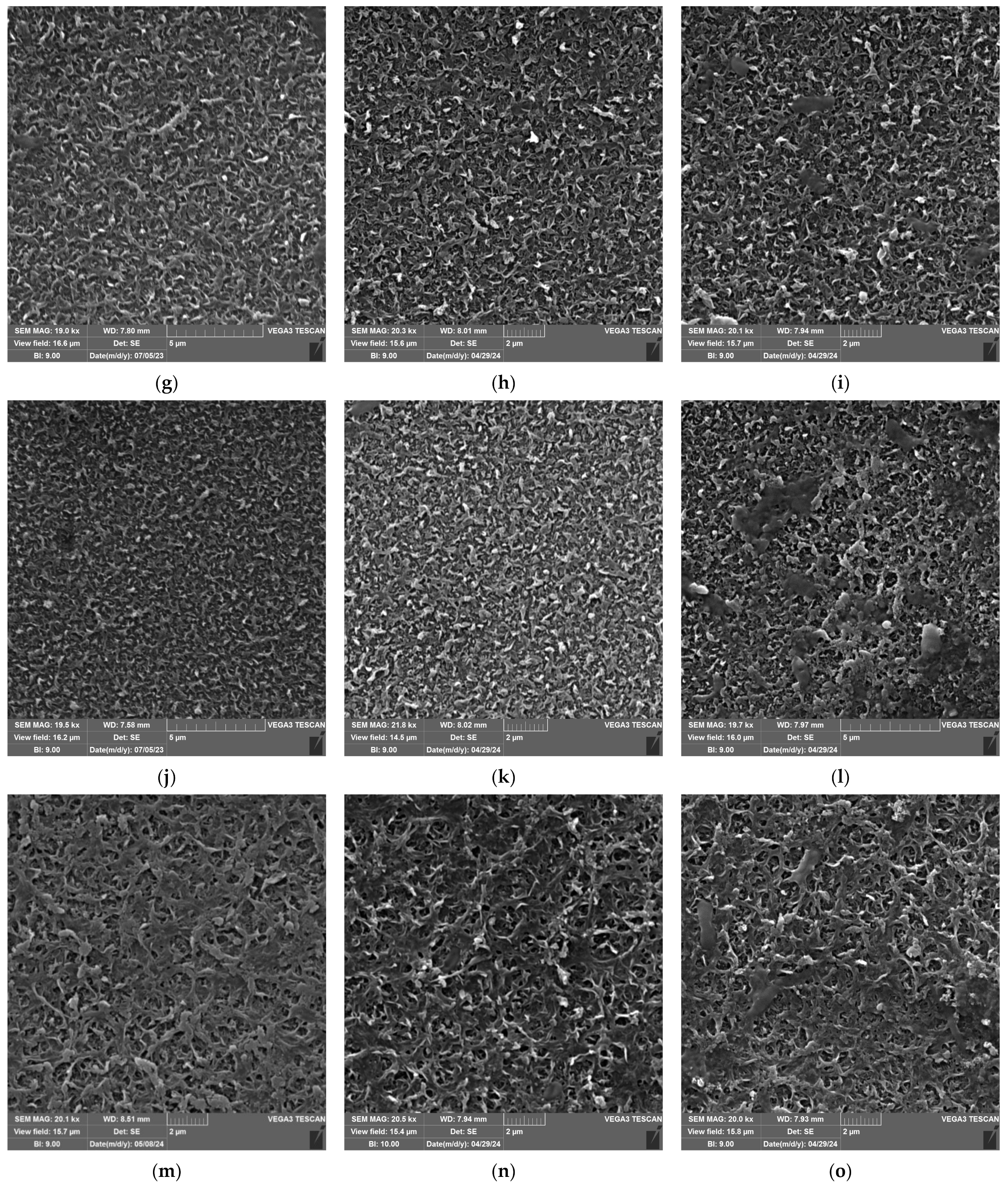 Nanomaterials 14 01117 g007b Nanomaterials 14 01117 g007b