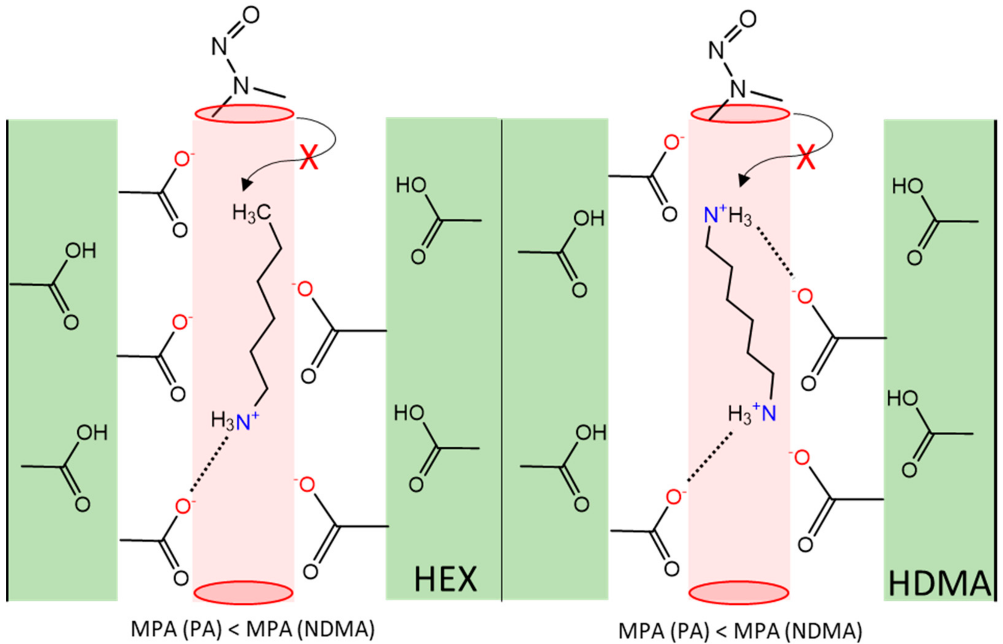 Nanomaterials 14 01117 g011 Nanomaterials 14 01117 g011