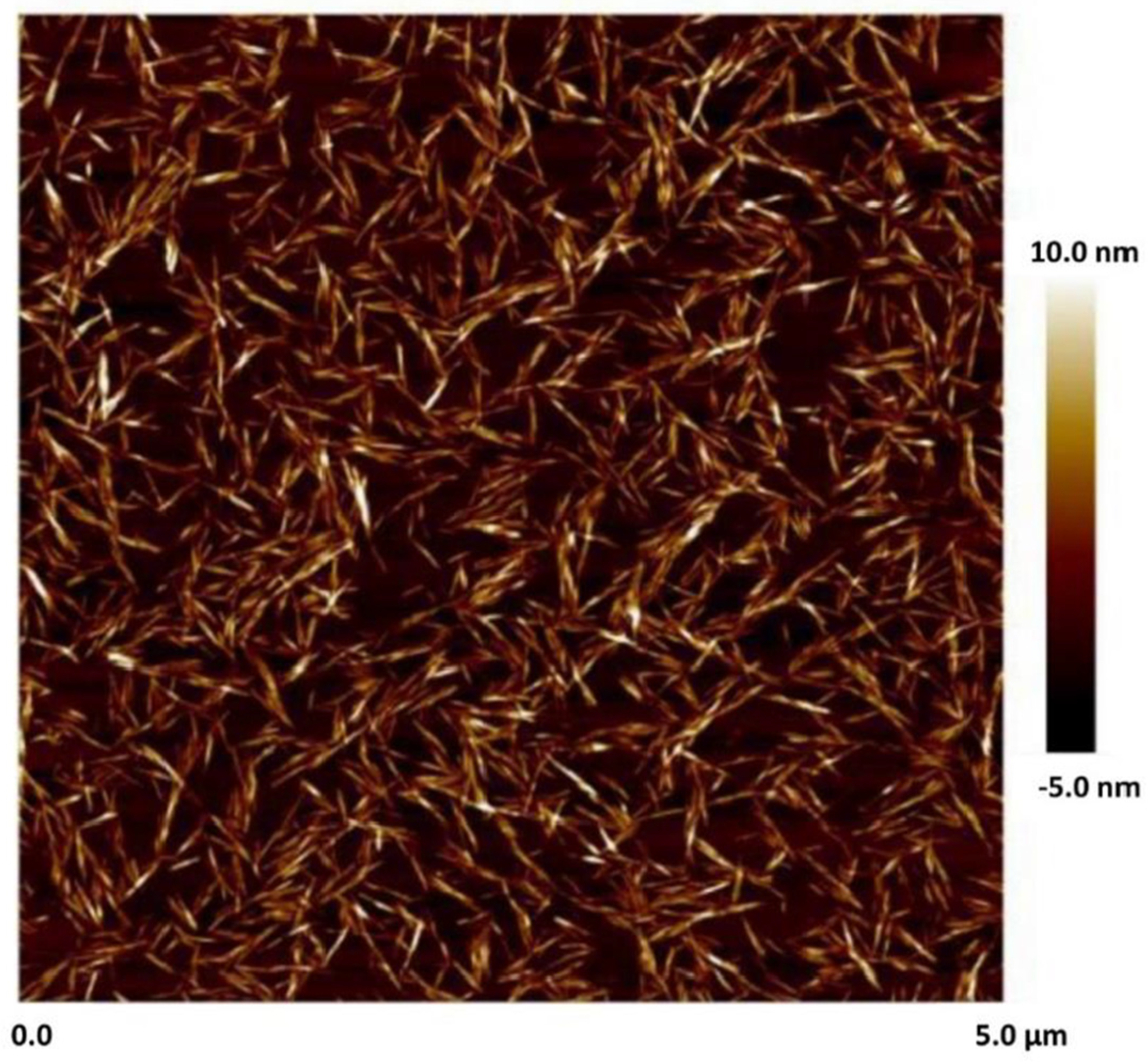 Nanomaterials 14 01122 g001
