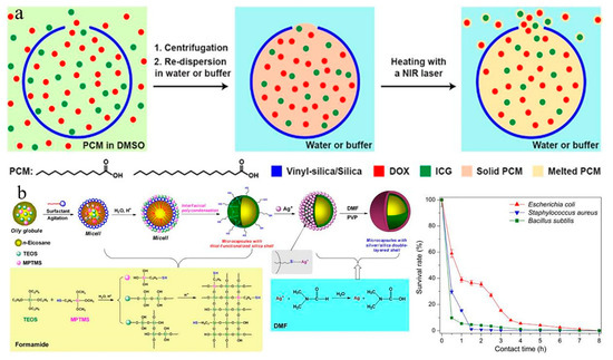 Nanomaterials 14 01126 g011