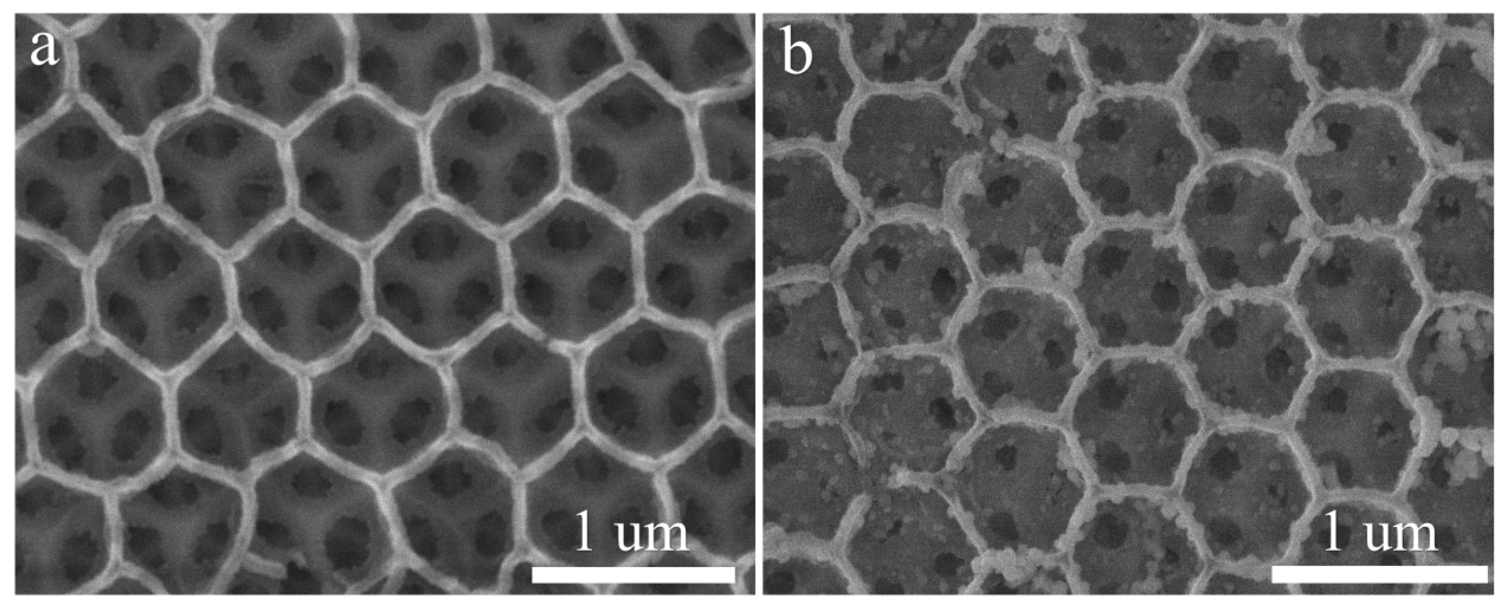 Nanomaterials 14 01127 g002