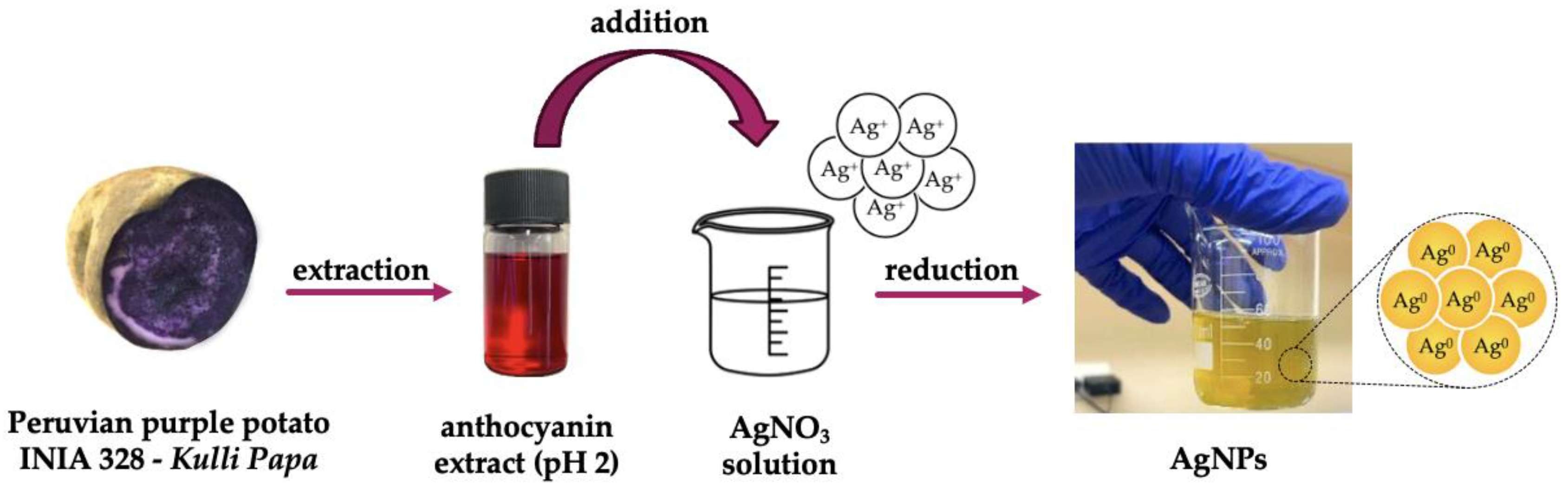 Nanomaterials 14 01147 g001