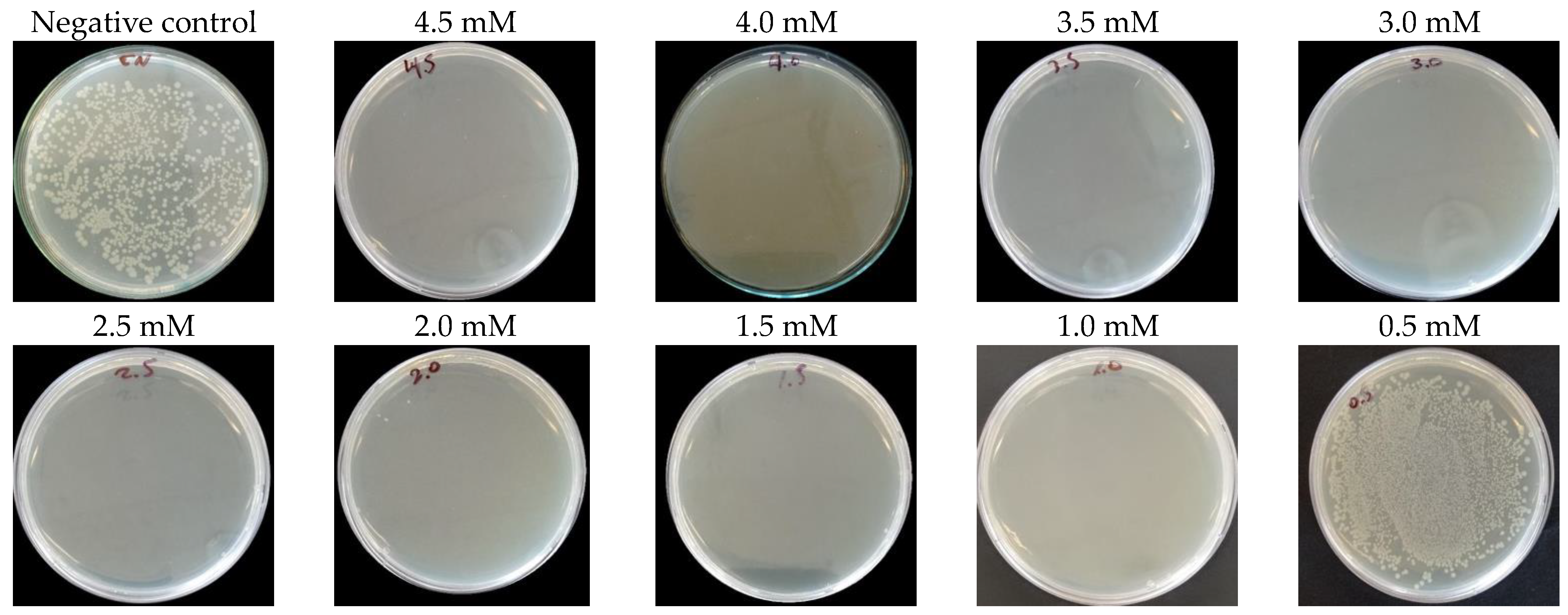 Nanomaterials 14 01147 g009