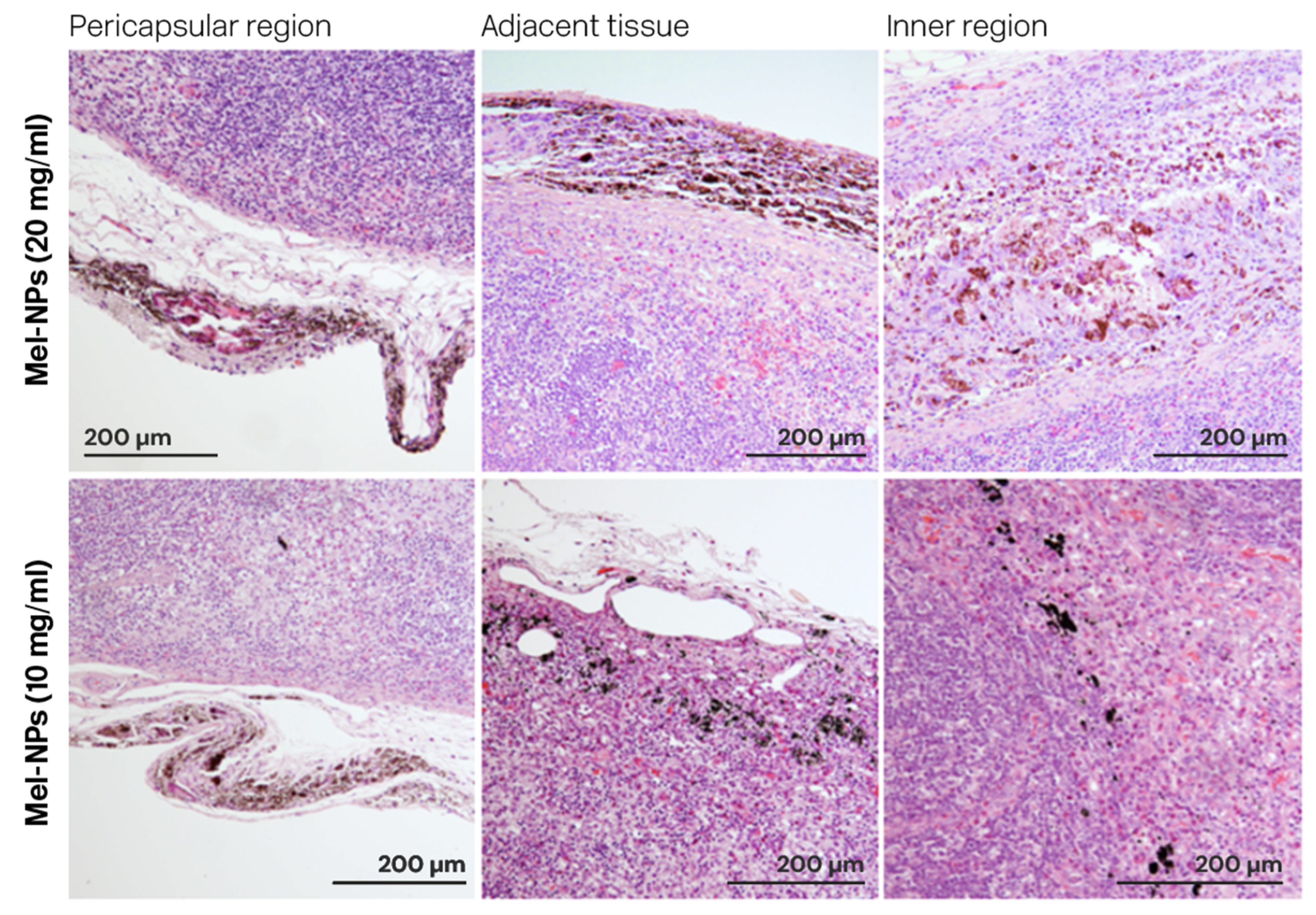 Nanomaterials 14 01149 g007