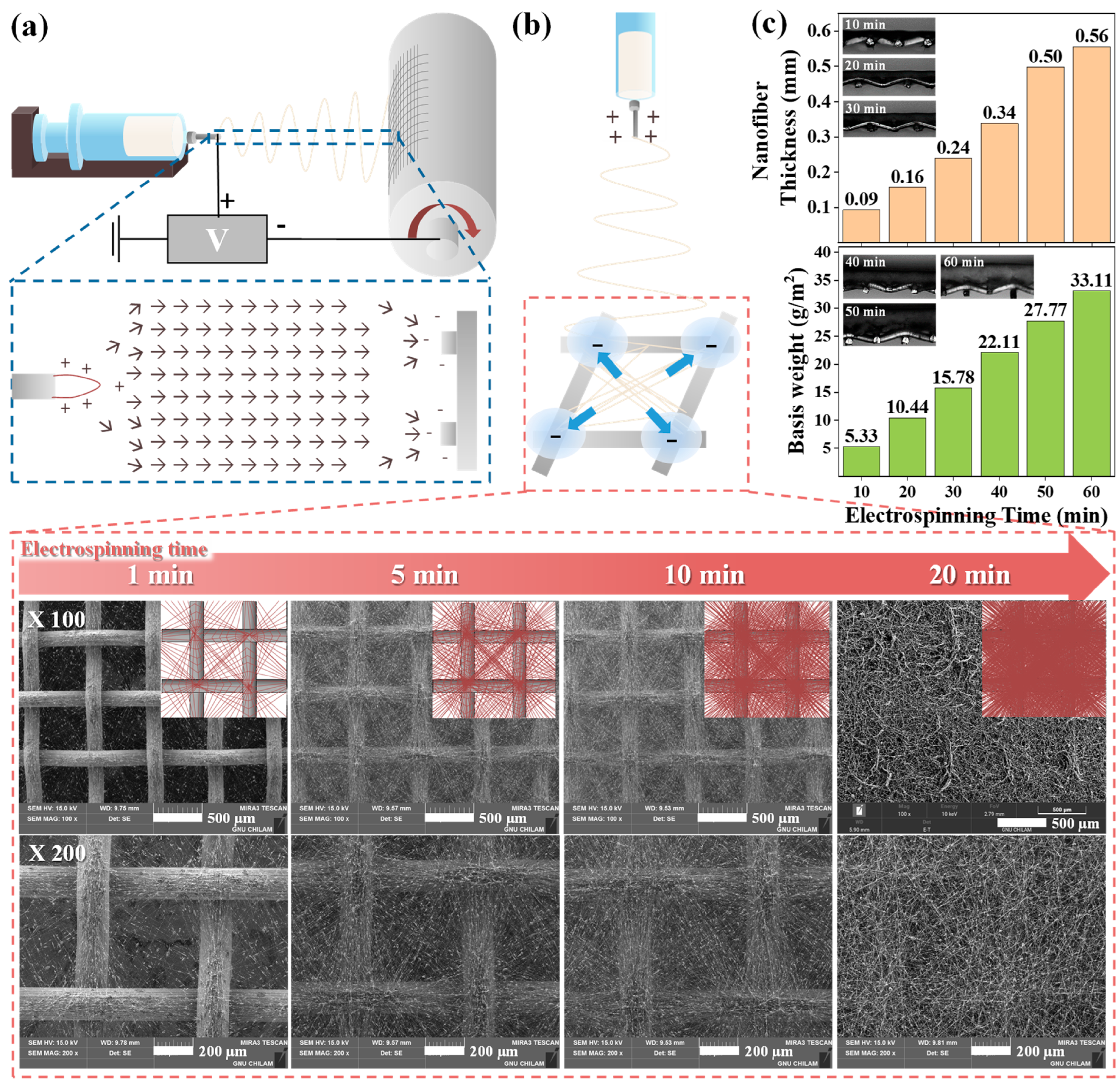 Nanomaterials 14 01152 g001